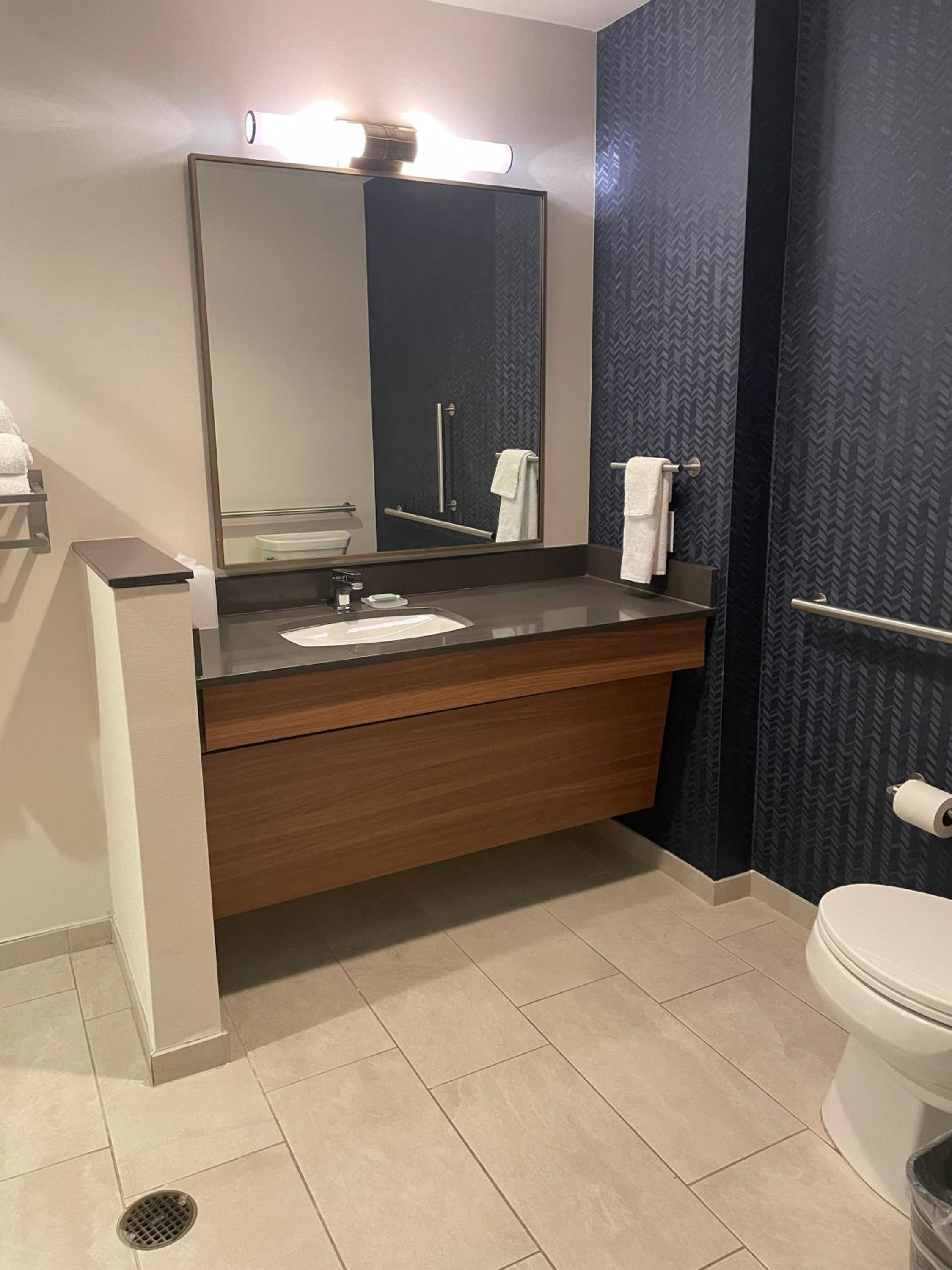 King Room with Roll-in Shower - Mobility Accessible - Photo 10