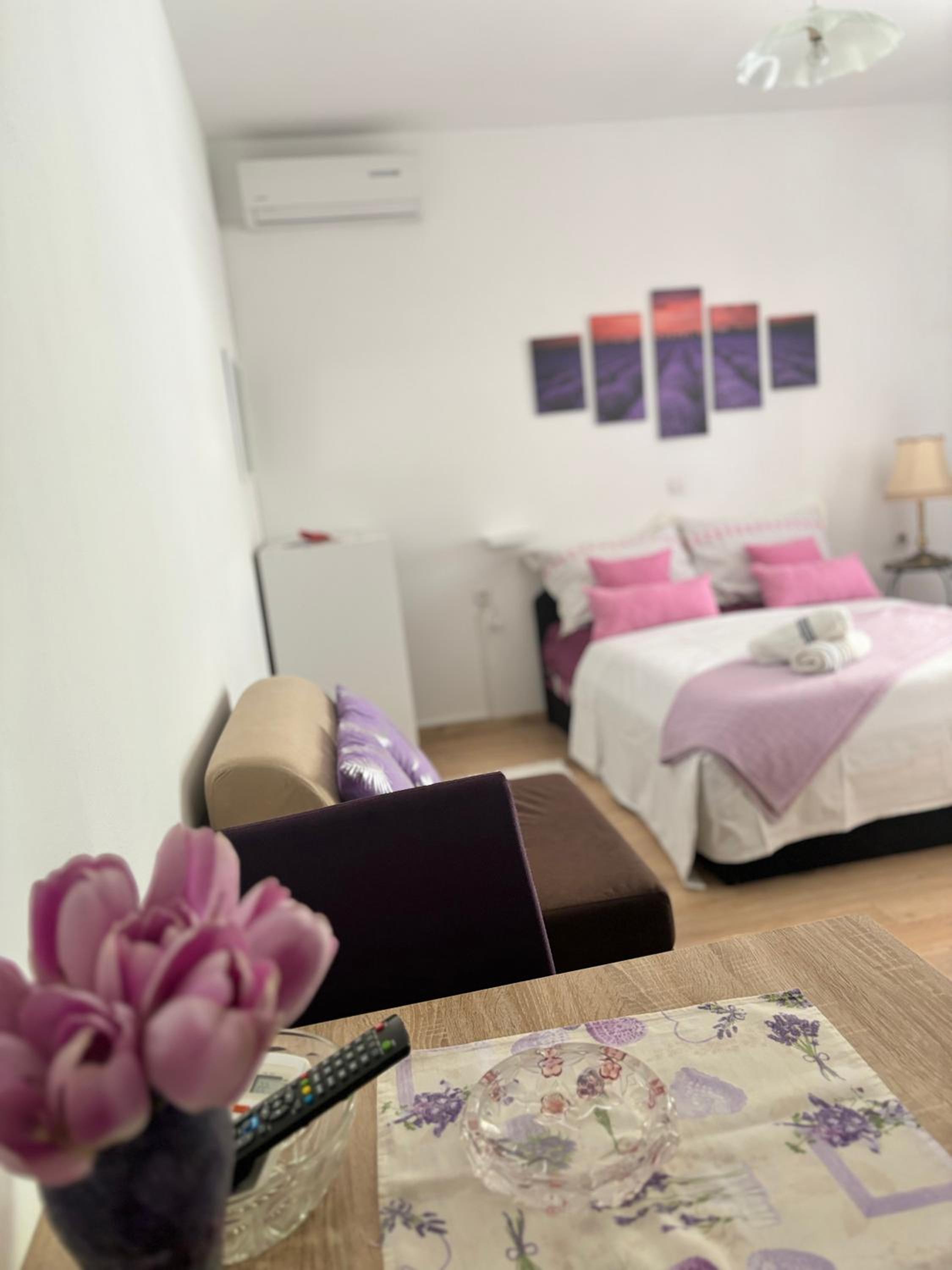Studio Apartment photo 1
