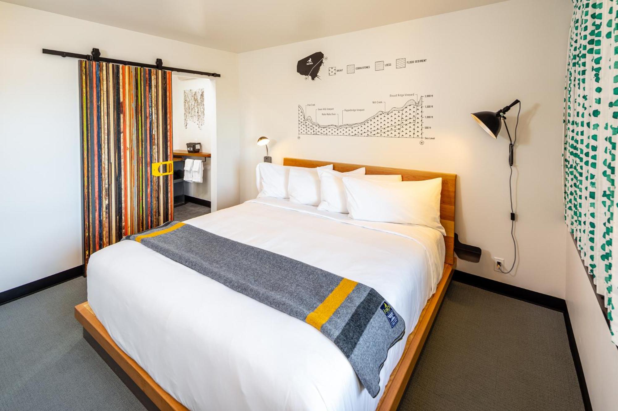 Deluxe King Suite photo 1
