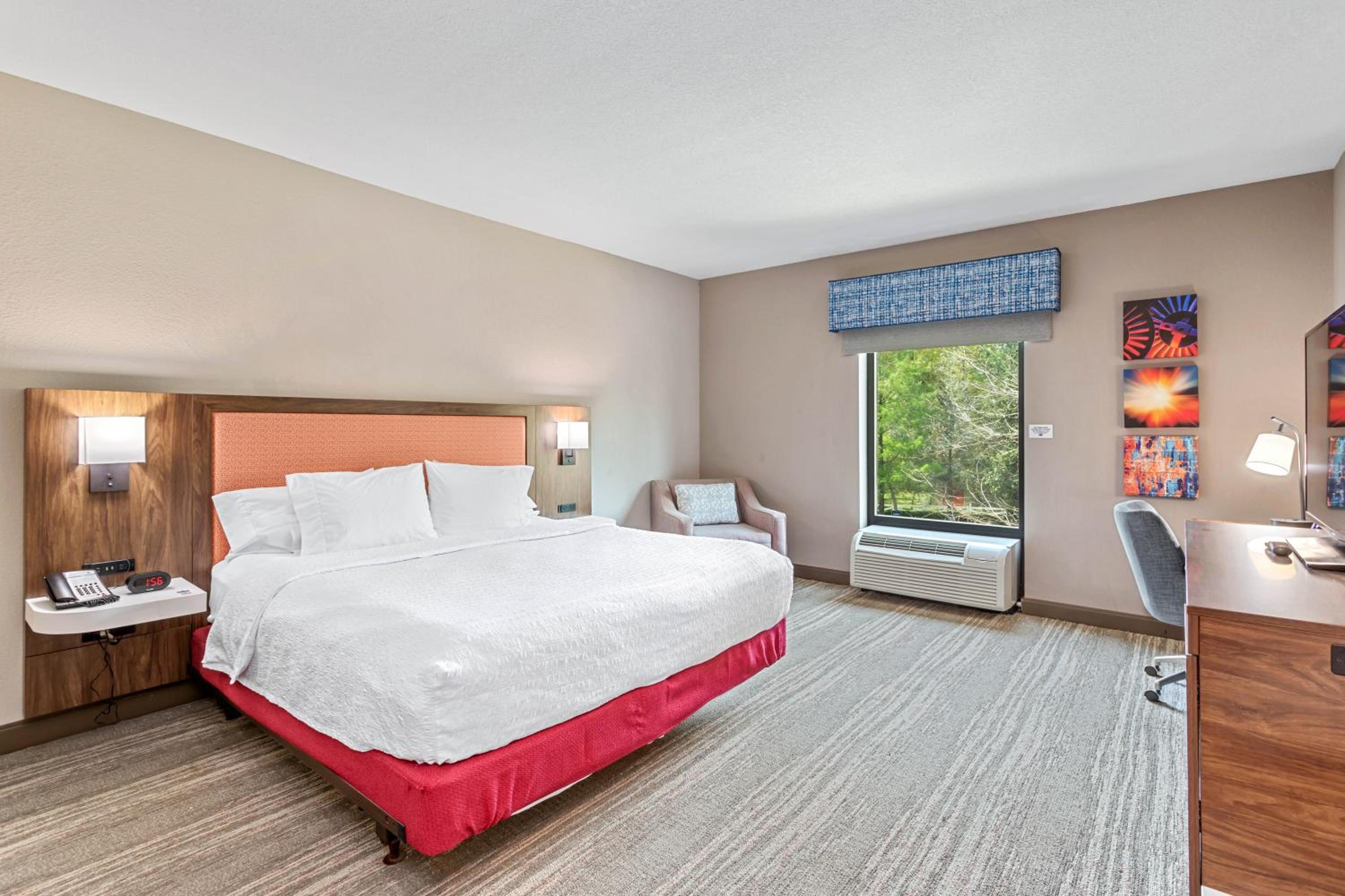 King Room with Roll-In Shower - Disability Access