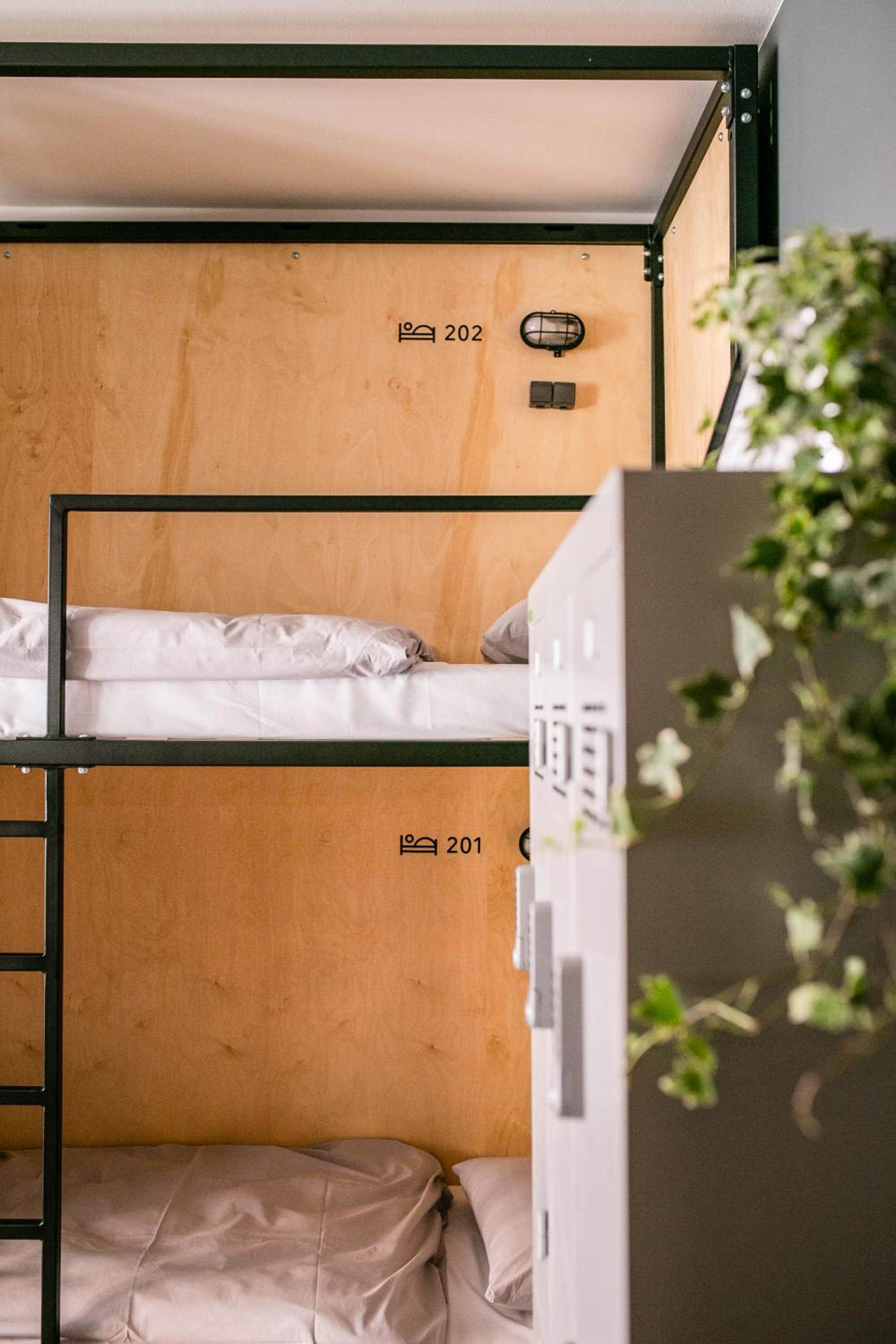 Bed in 8-Bed Female Dormitory Room photo 3