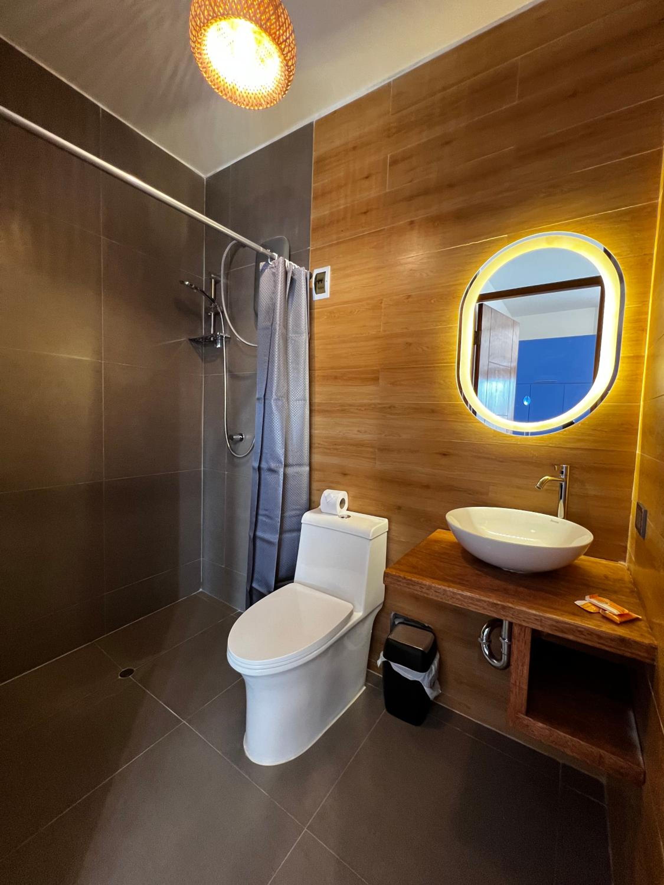 Deluxe Double or Twin Room photo 2