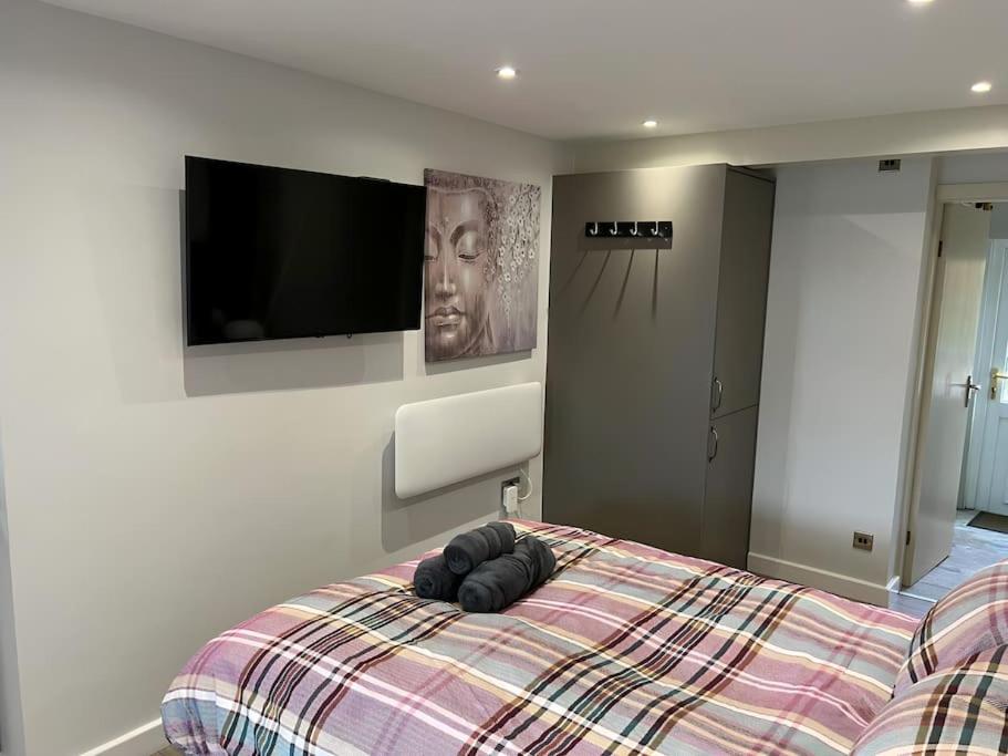 One-Bedroom Apartment photo 3