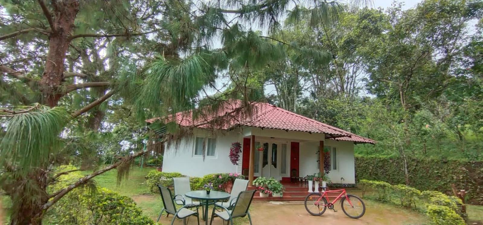 Four-Bedroom Villa - Photo 11