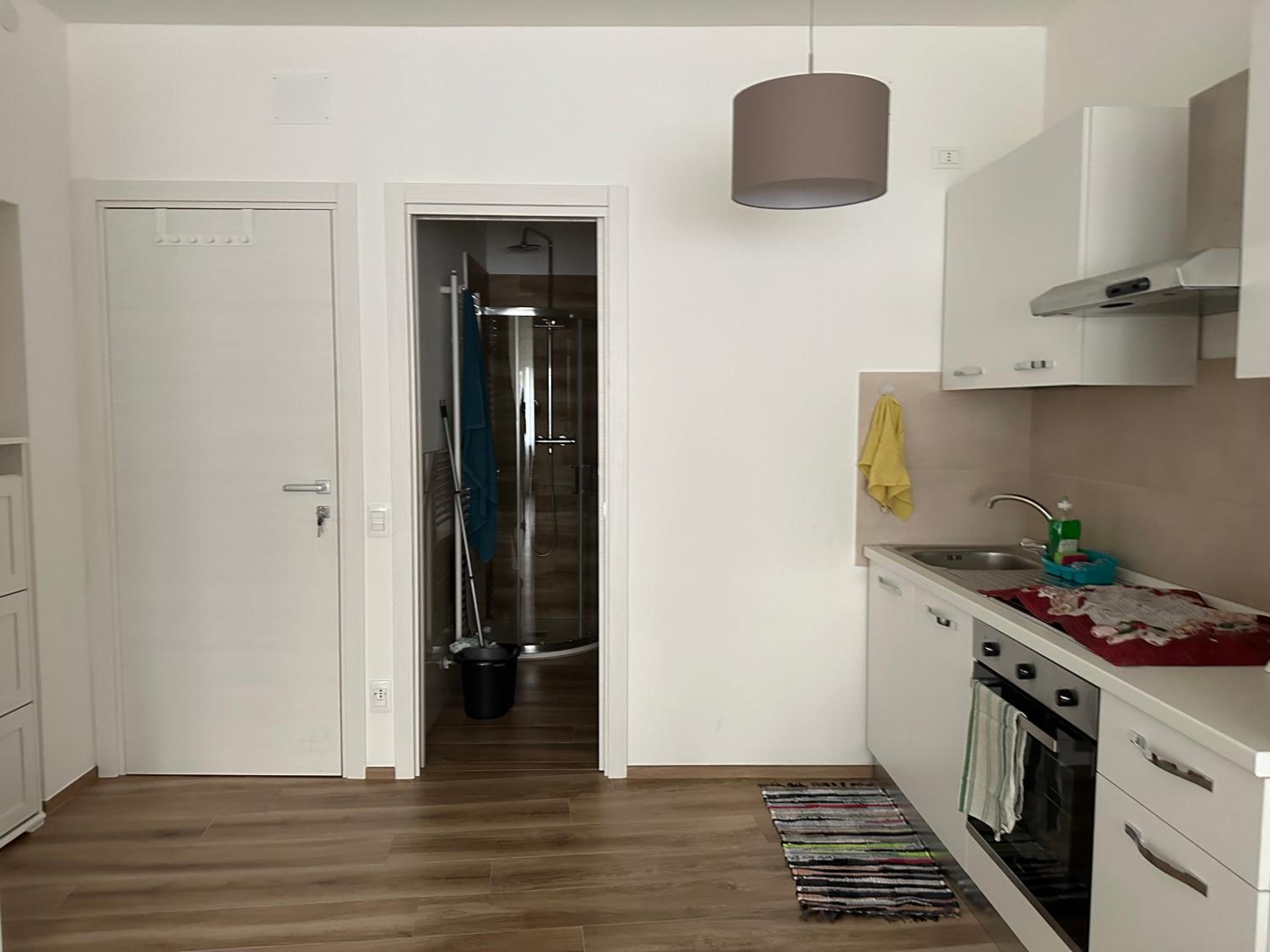 One-Bedroom Apartment photo 2