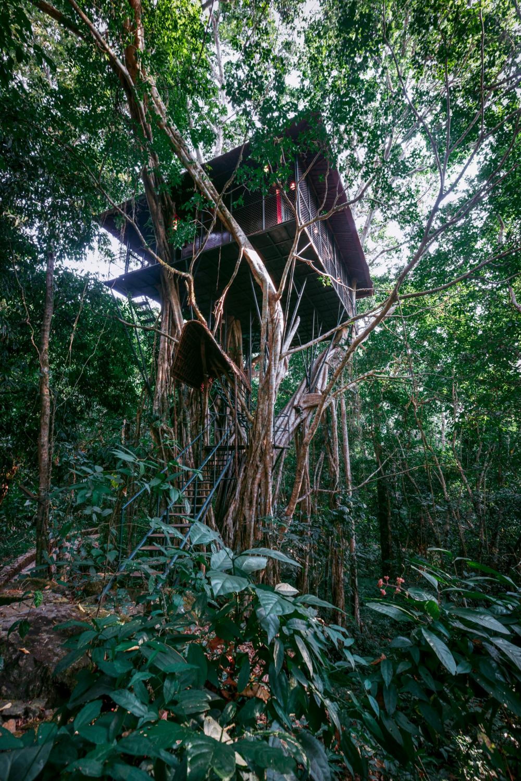 Premium Tree House photo 3