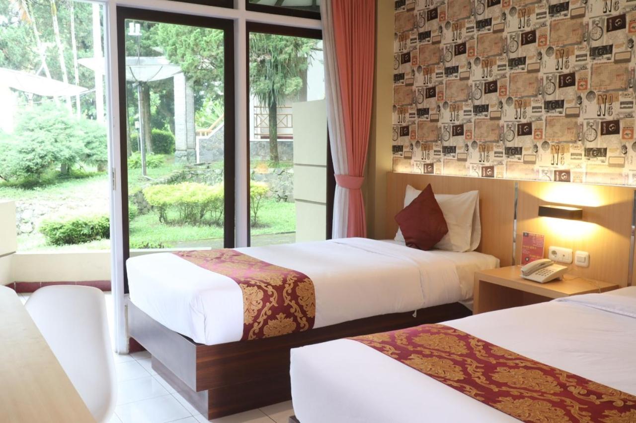 Superior Twin Room photo 1