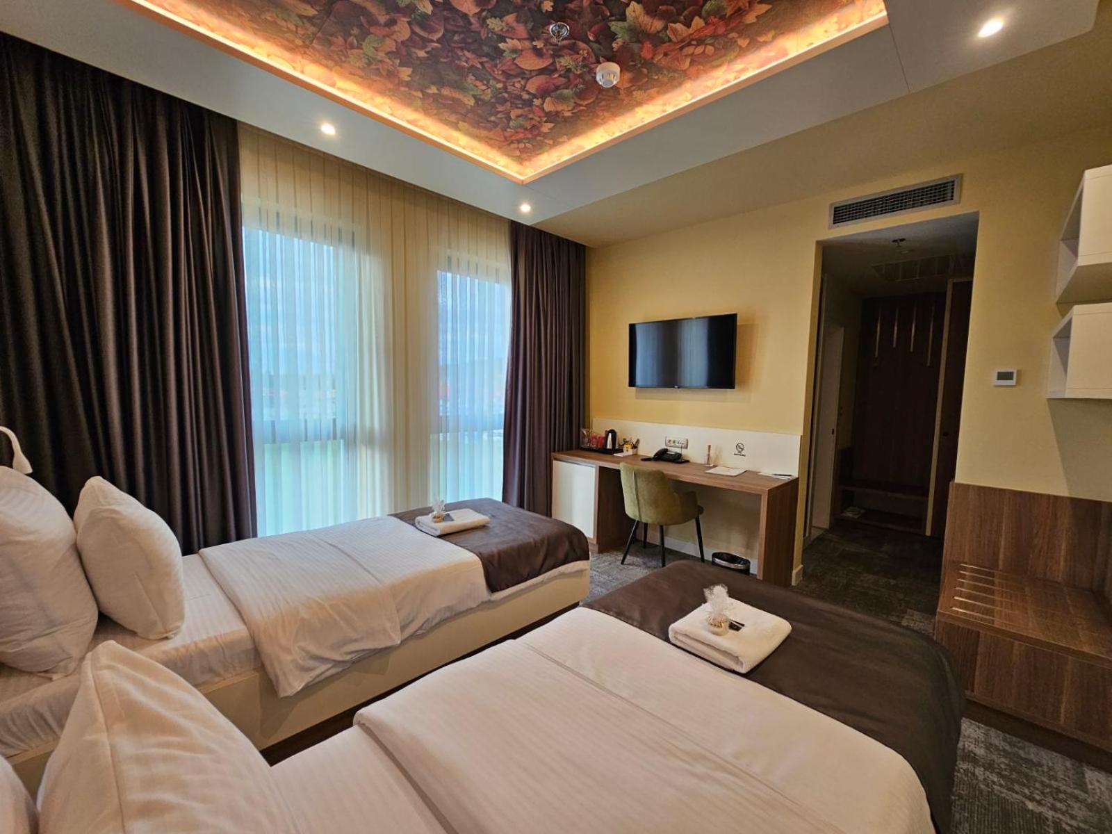 Standard Double or Twin Room photo 1