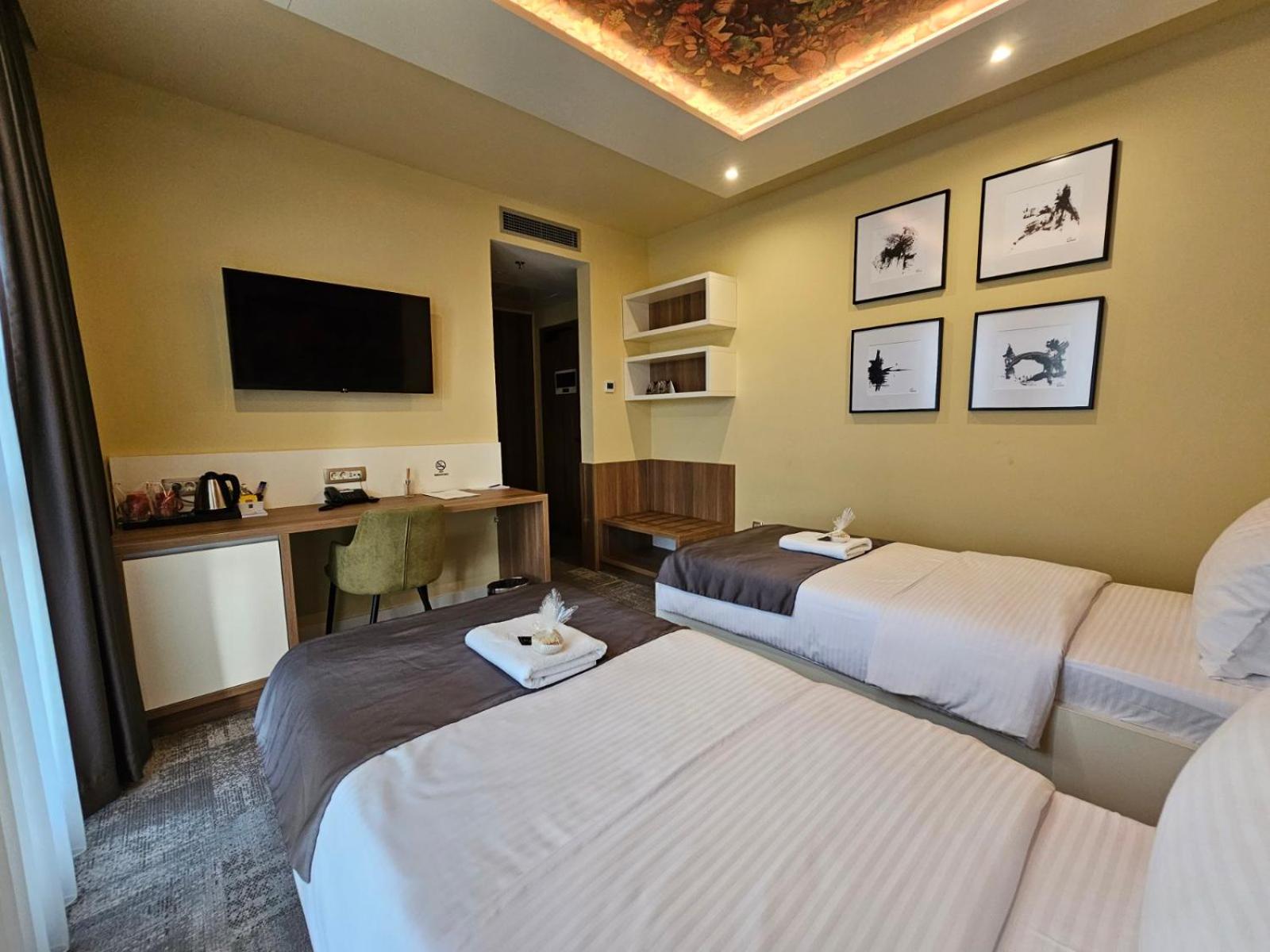 Standard Double or Twin Room photo 3