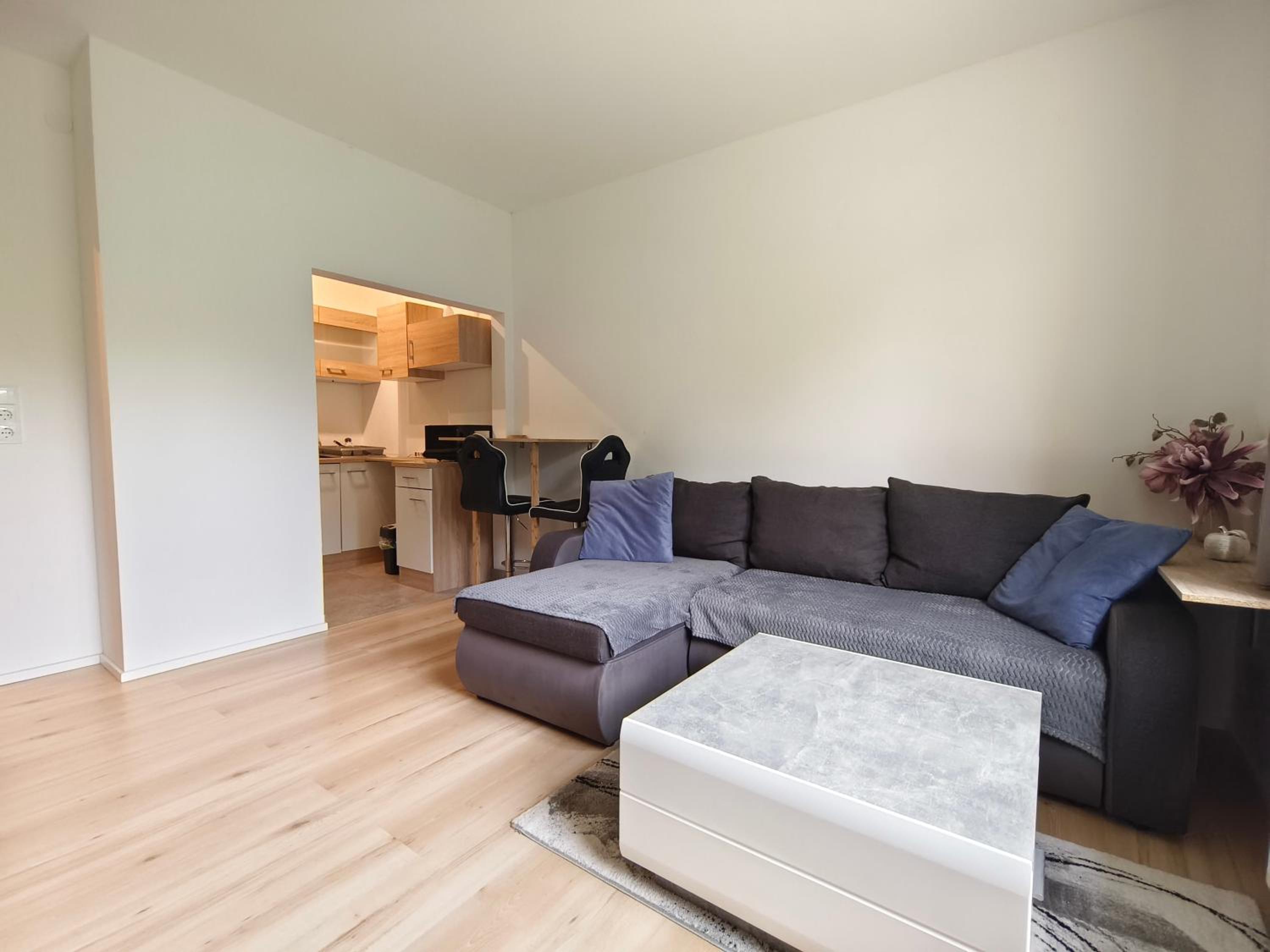 One-Bedroom Apartment photo 3