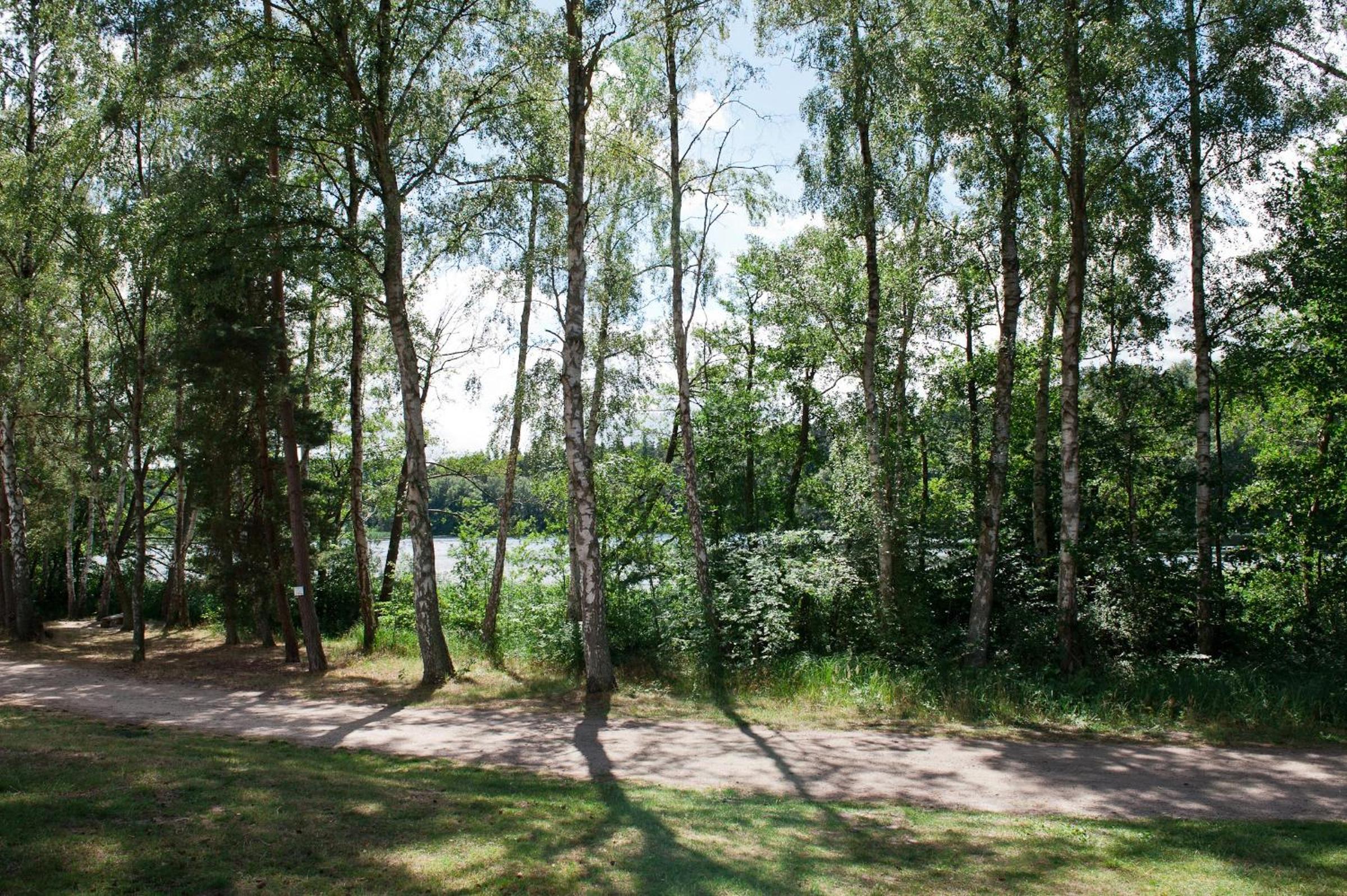 Vacation Home photo 2