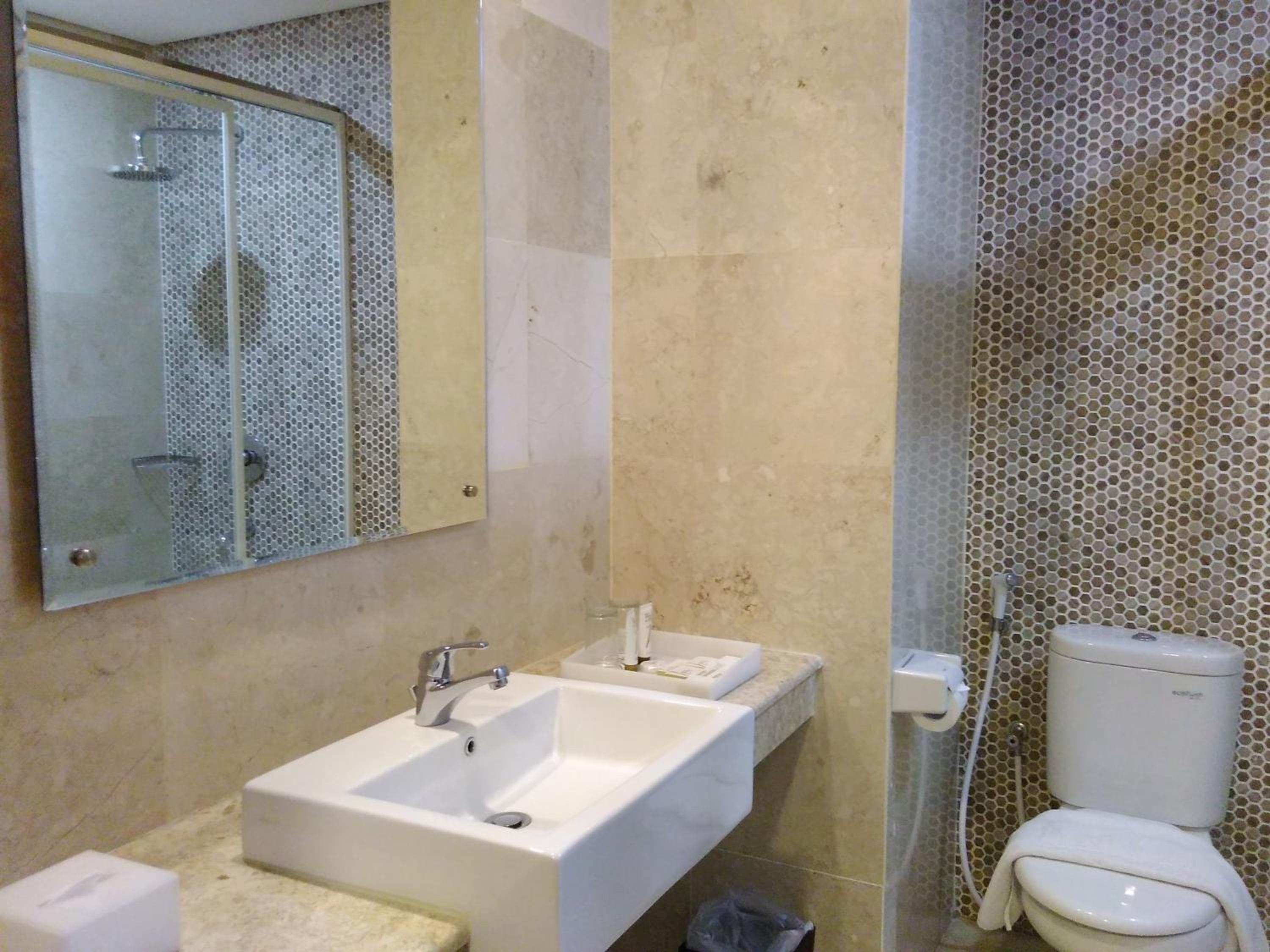 Deluxe Double Or Twin Room photo 3