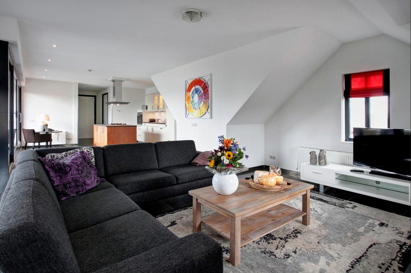 Penthouse Apartment