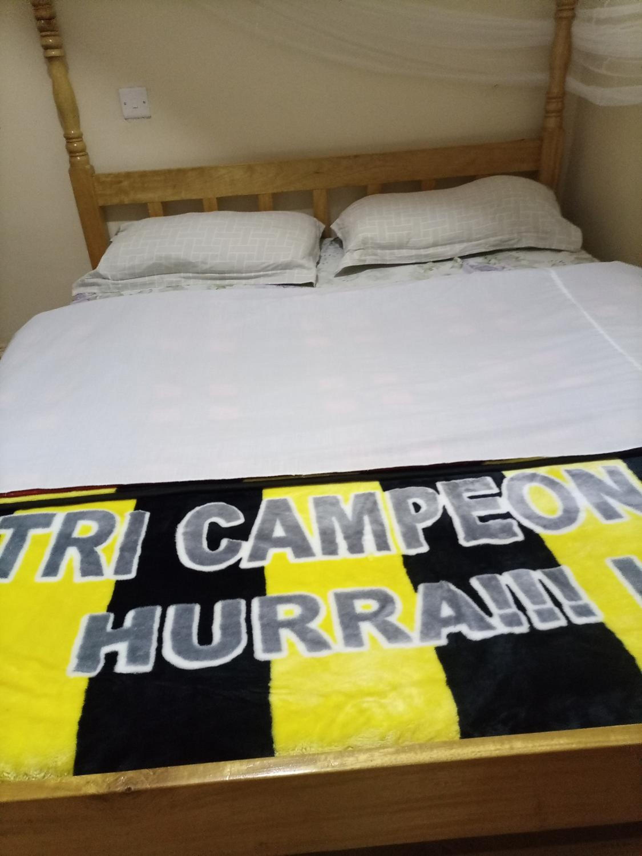 Double Room photo 1