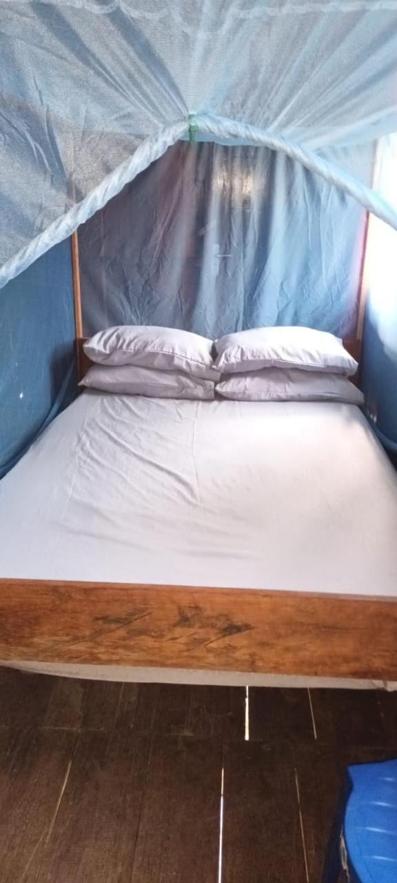 Double Room with Park View