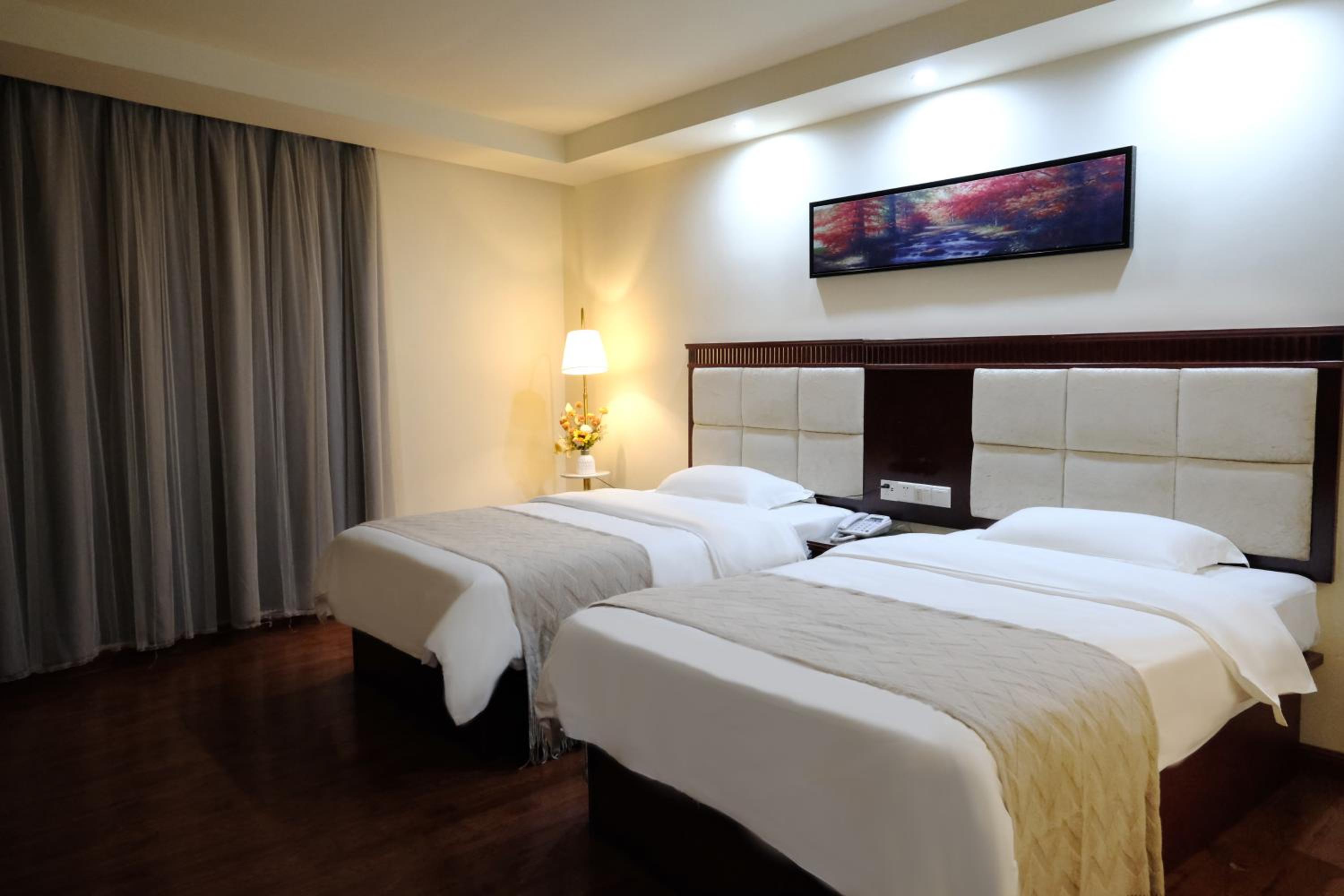 Large Twin Room photo 3