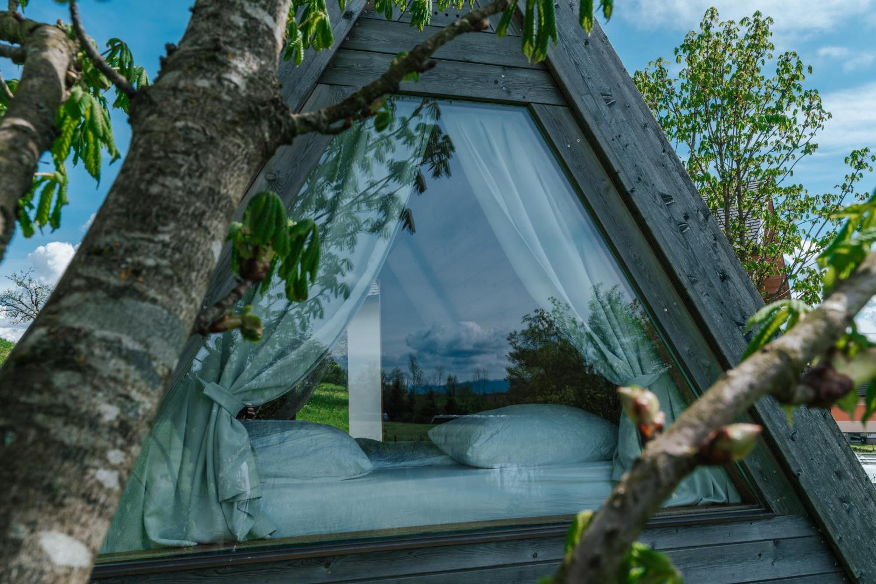 Deluxe Bungalow with Garden View photo 1