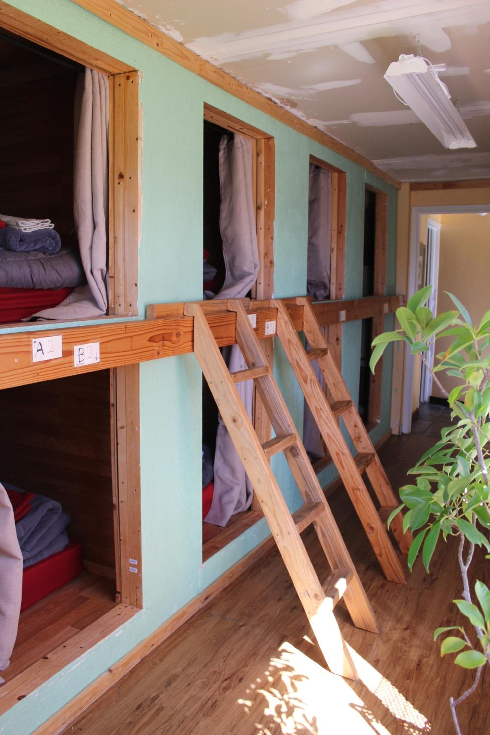 Bunk Bed in Female Dormitory Room photo 3