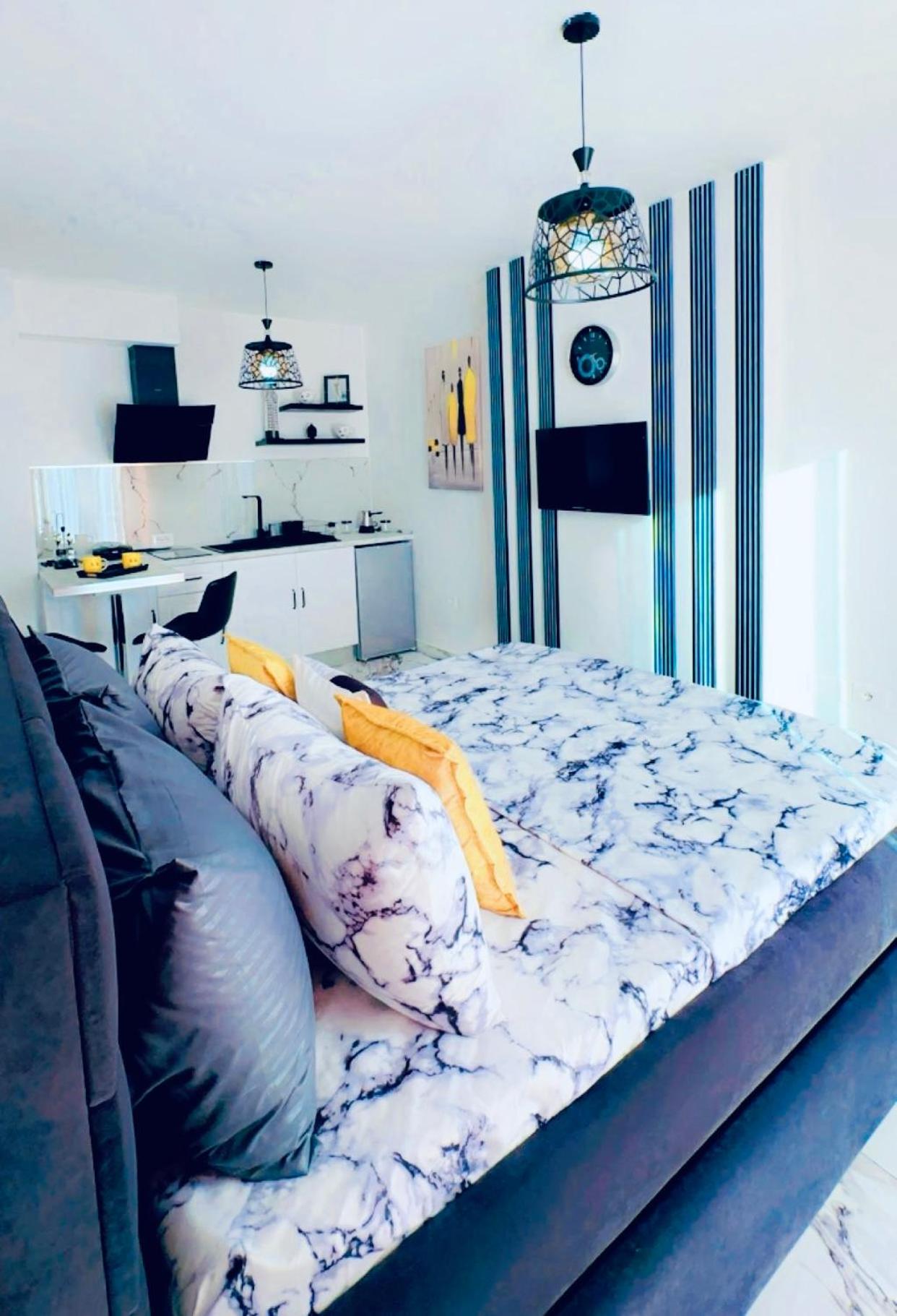 One-Bedroom Apartment photo 2