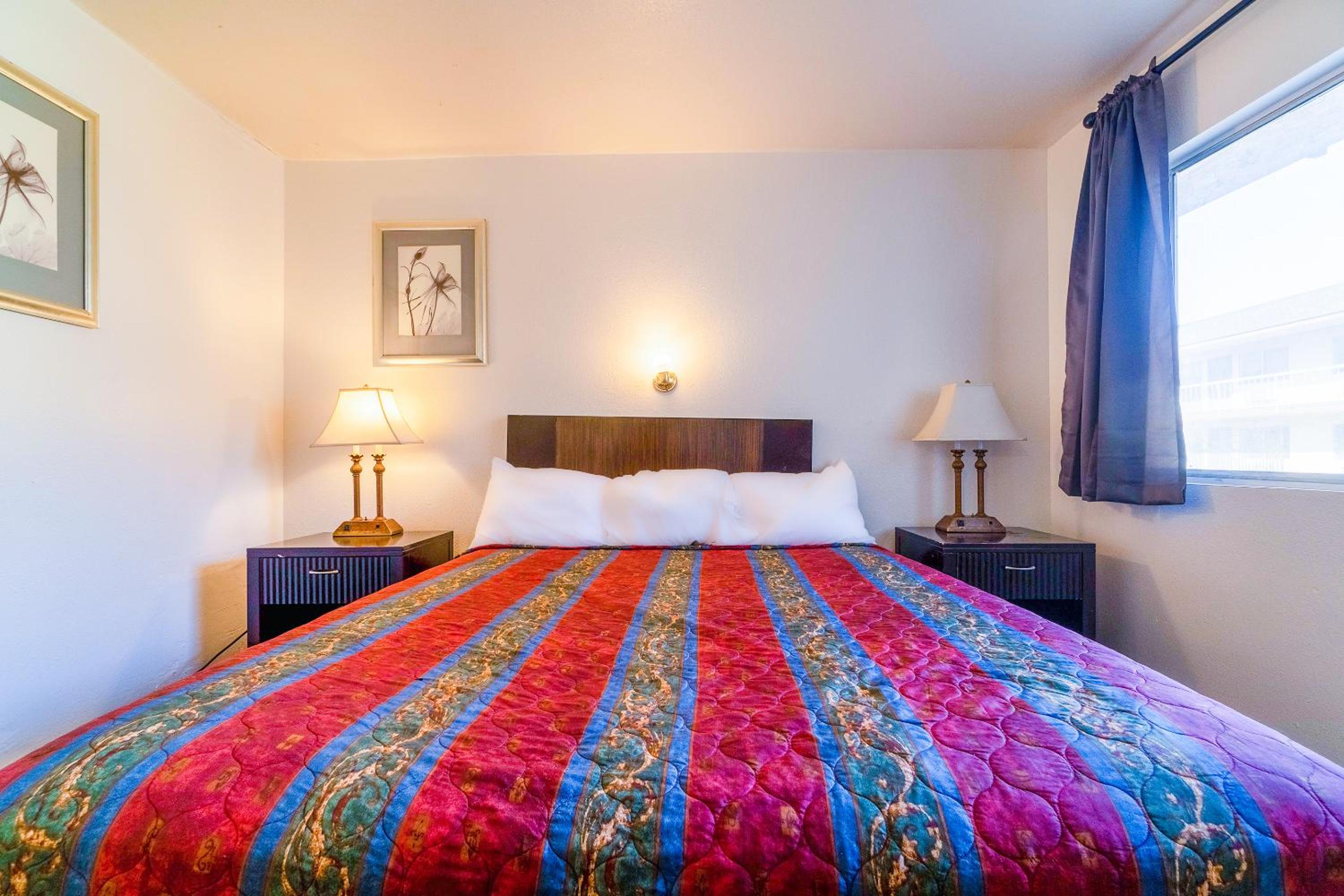 1 King Bed & 2 Full Bed - Photo 15