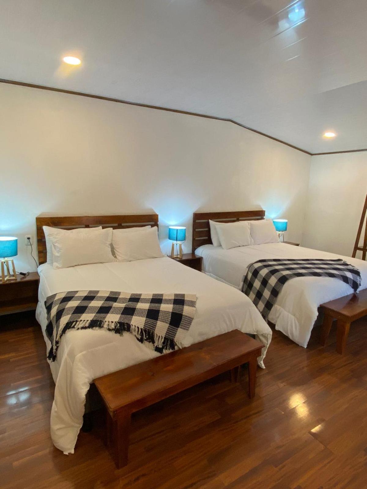 Twin Room with Terrace photo 3