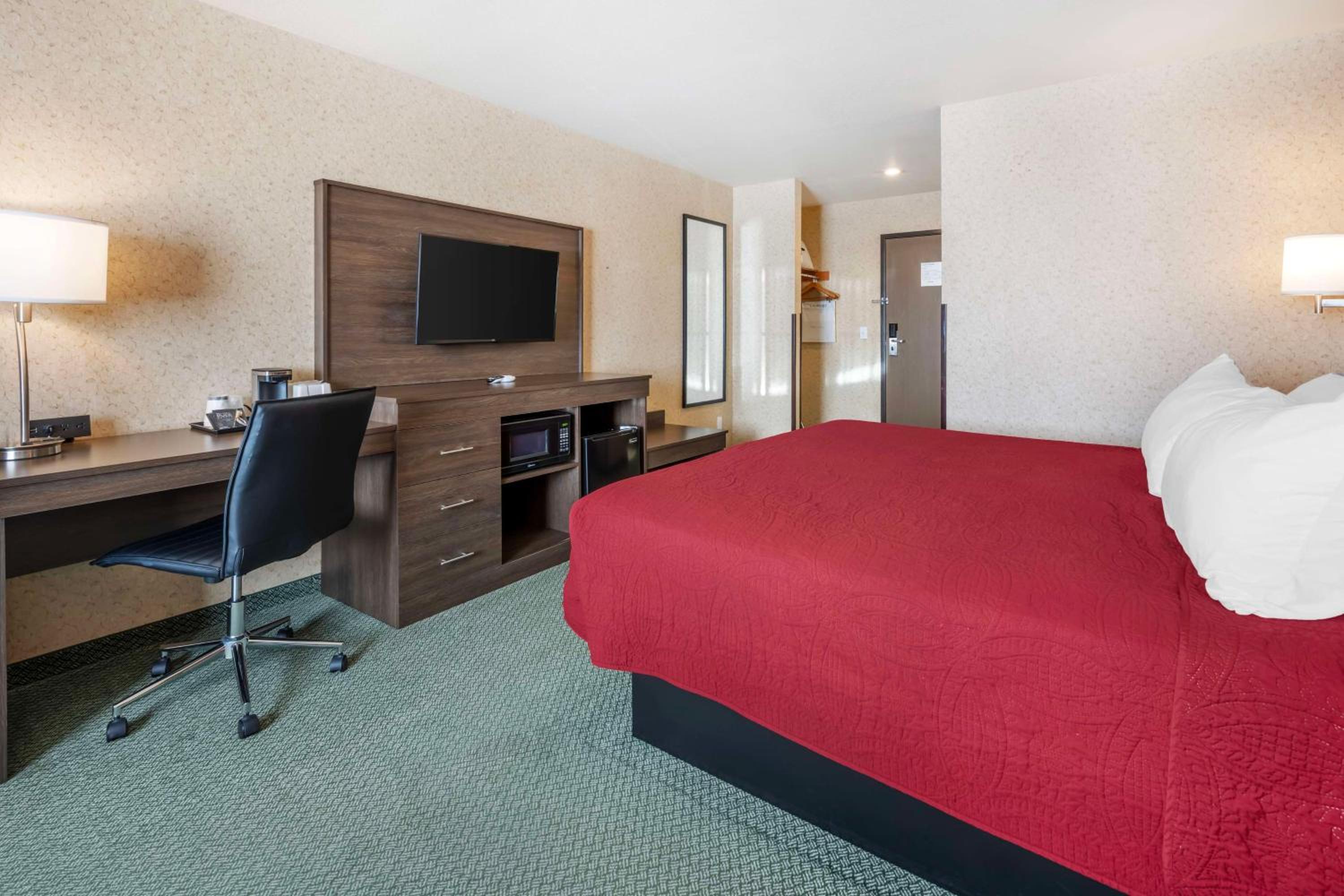King Room - Disability Access photo 2