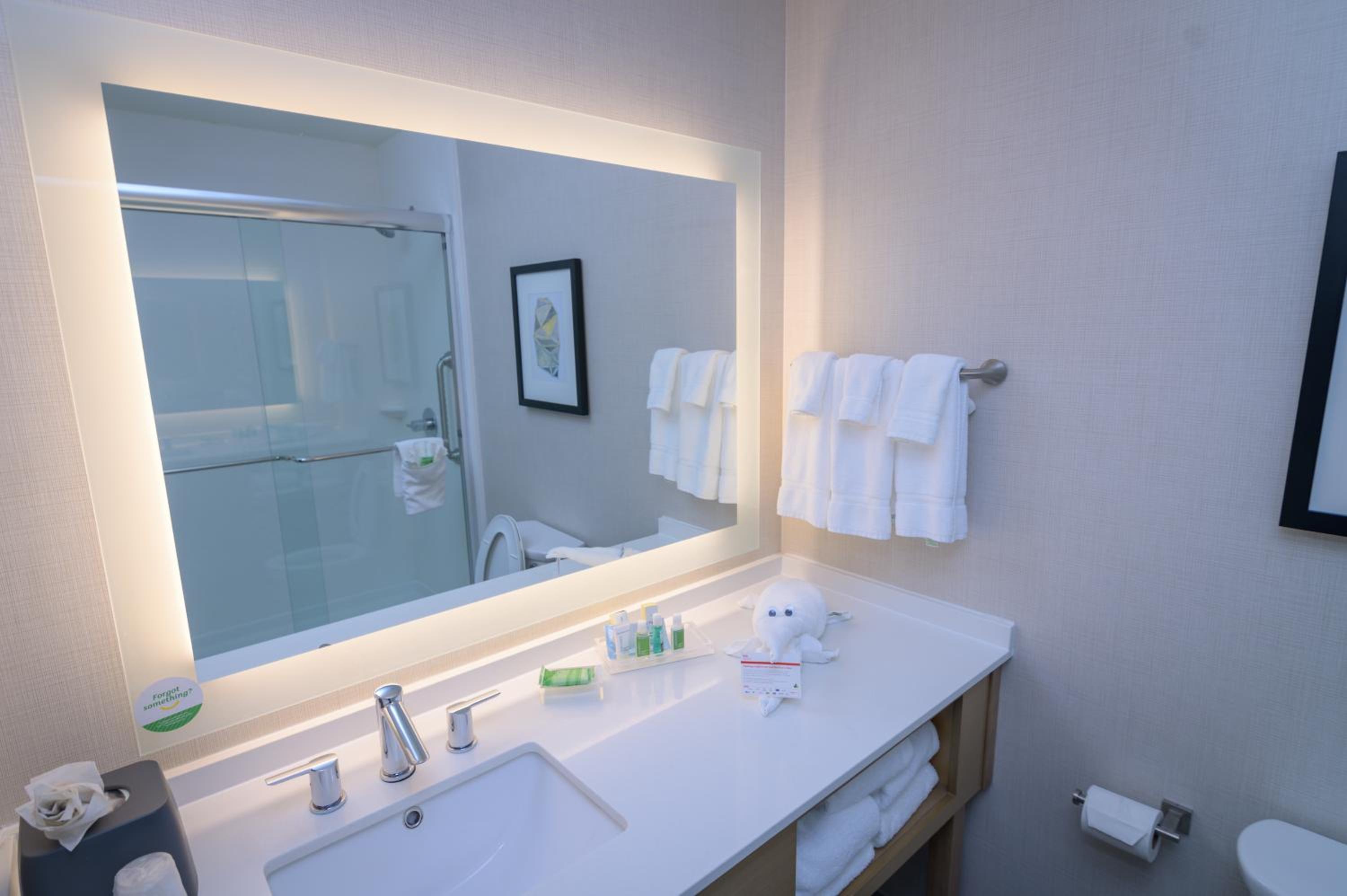 Standard King Room with Walk-In Shower - Photo 10