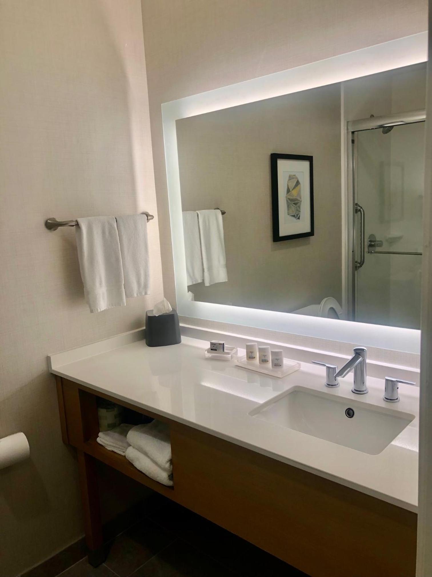 King Suite - Disability Access - Photo 2
