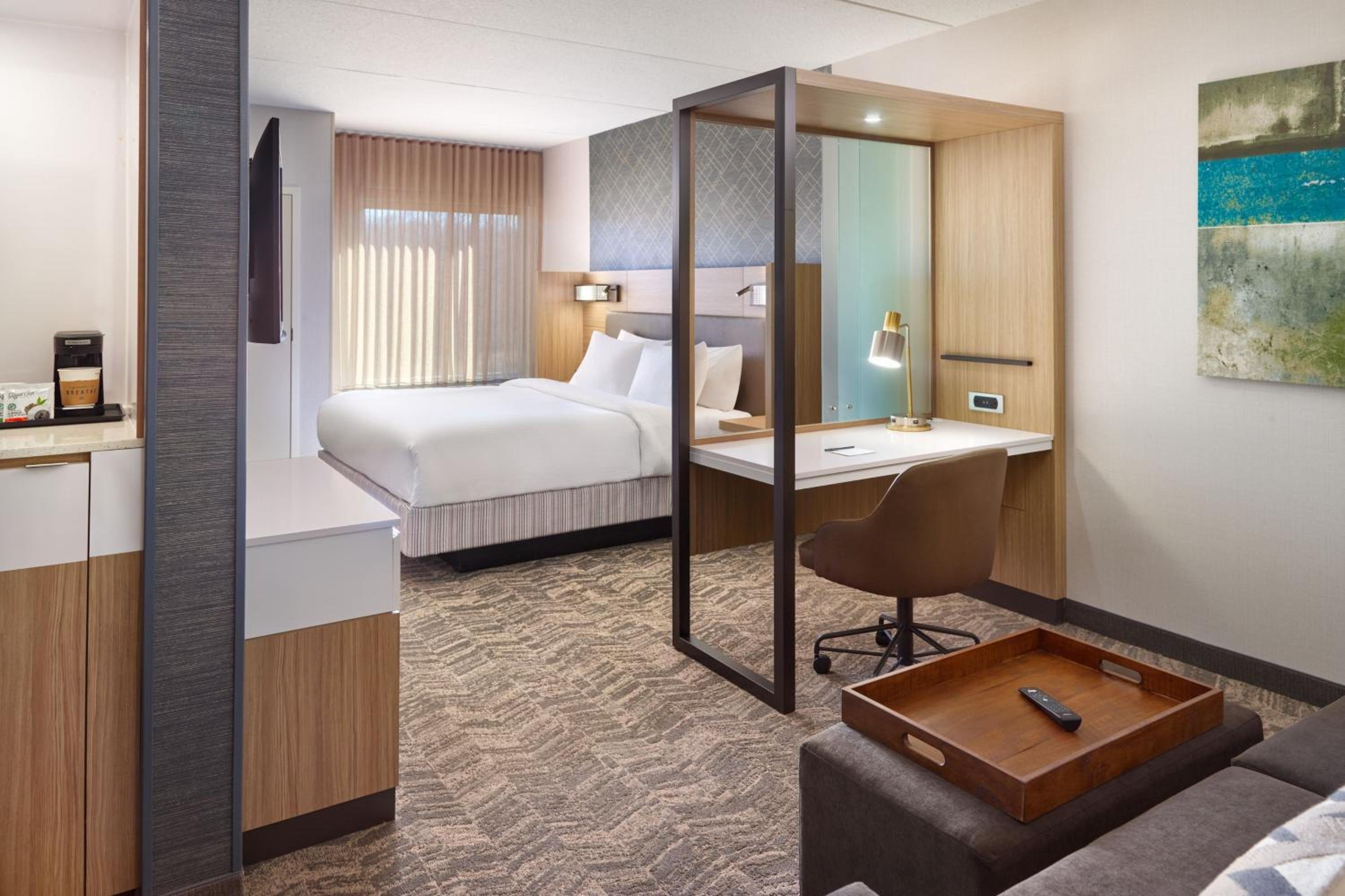 King Studio Suite with Sofa Bed - Mobility Accessible with Tub - Photo 8