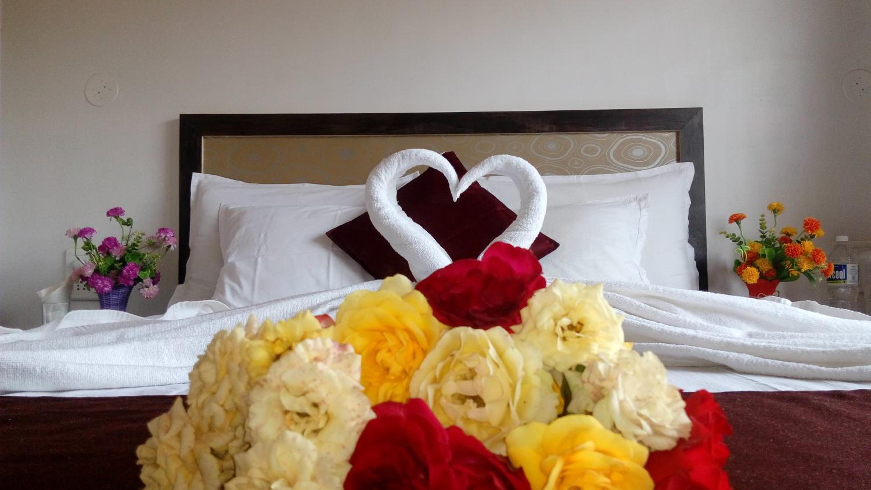 Superior Queen Room