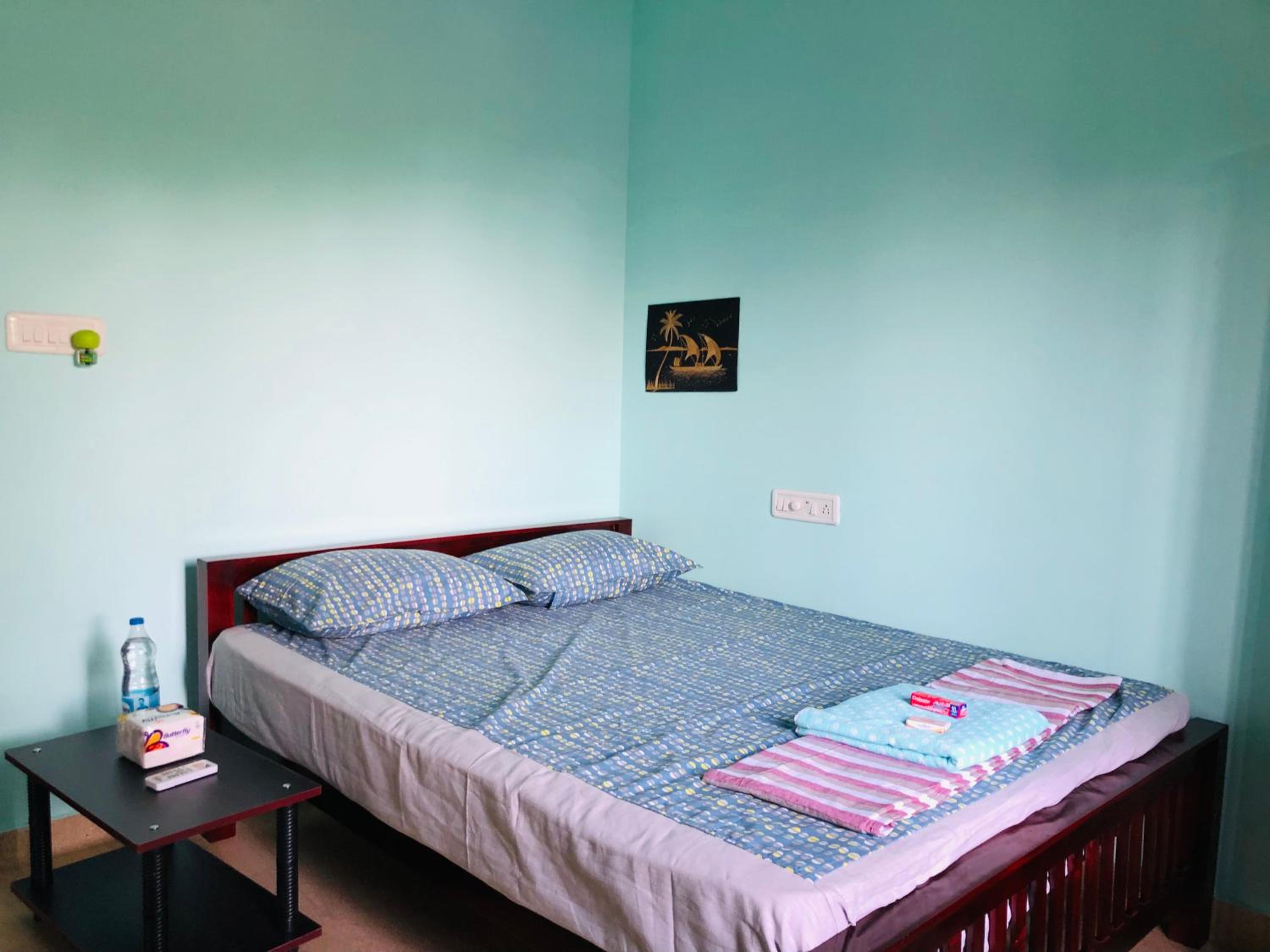 Deluxe Double Room photo 1