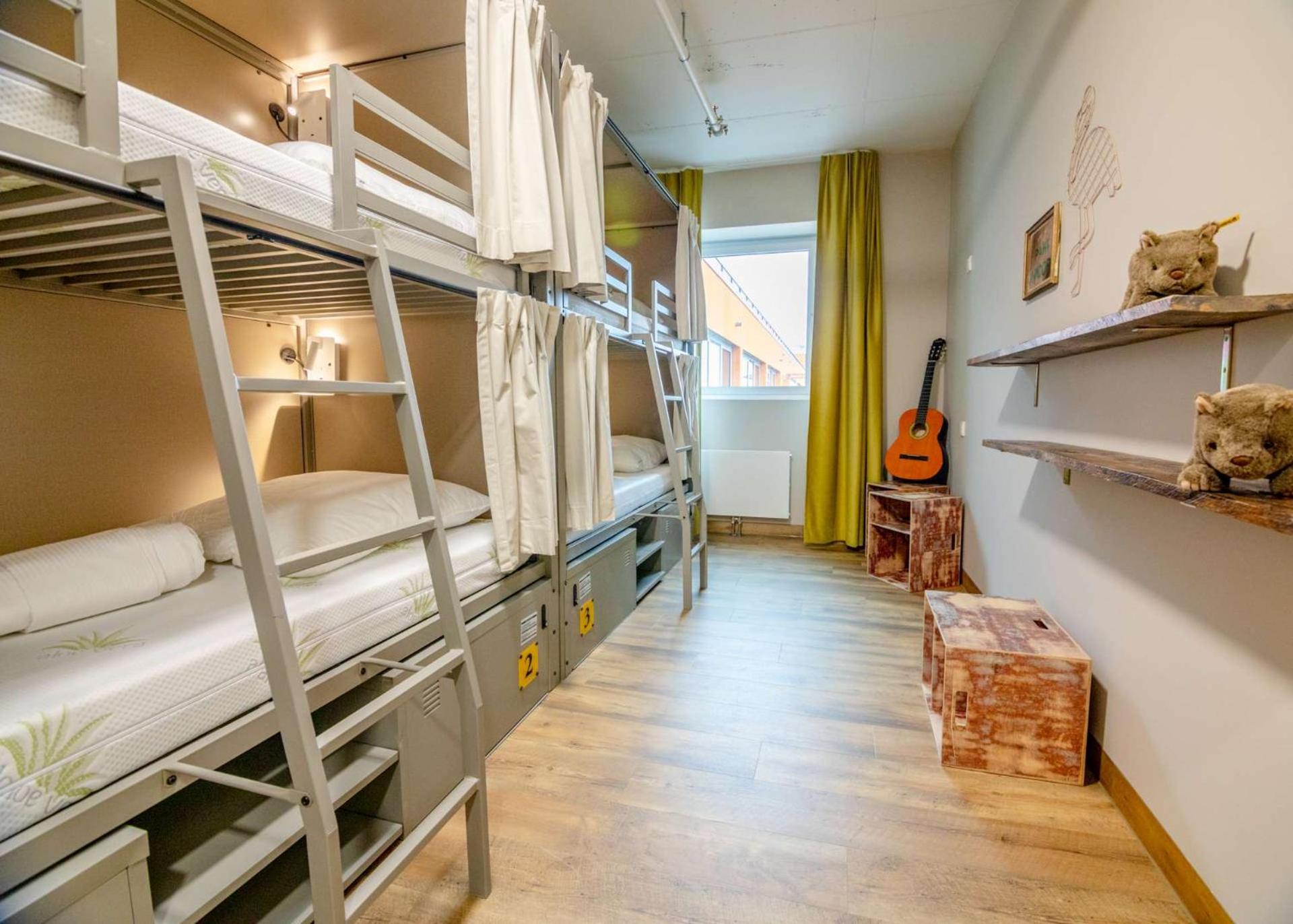 4-Bed Mixed Dormitory Room
