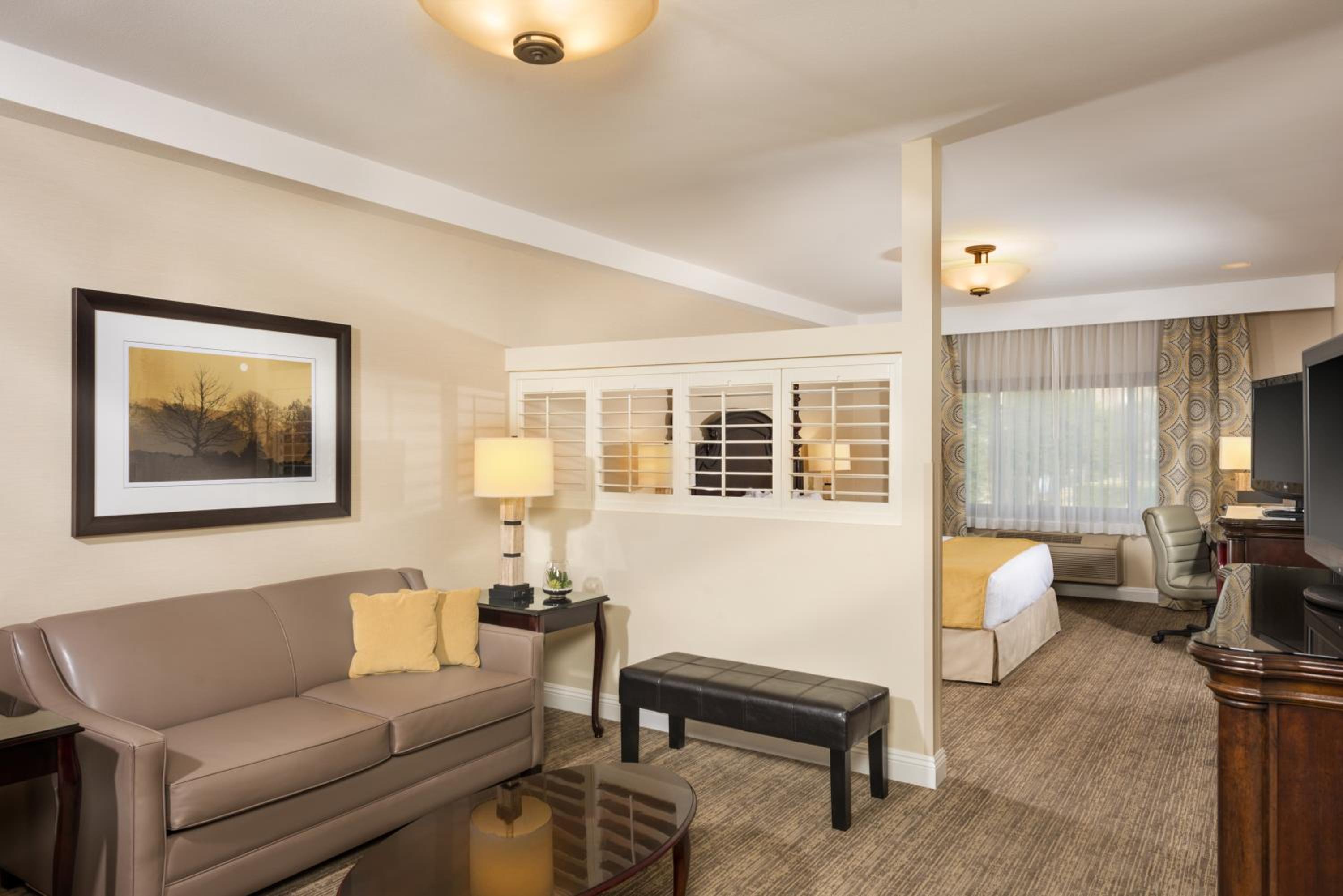 King Suite photo 1