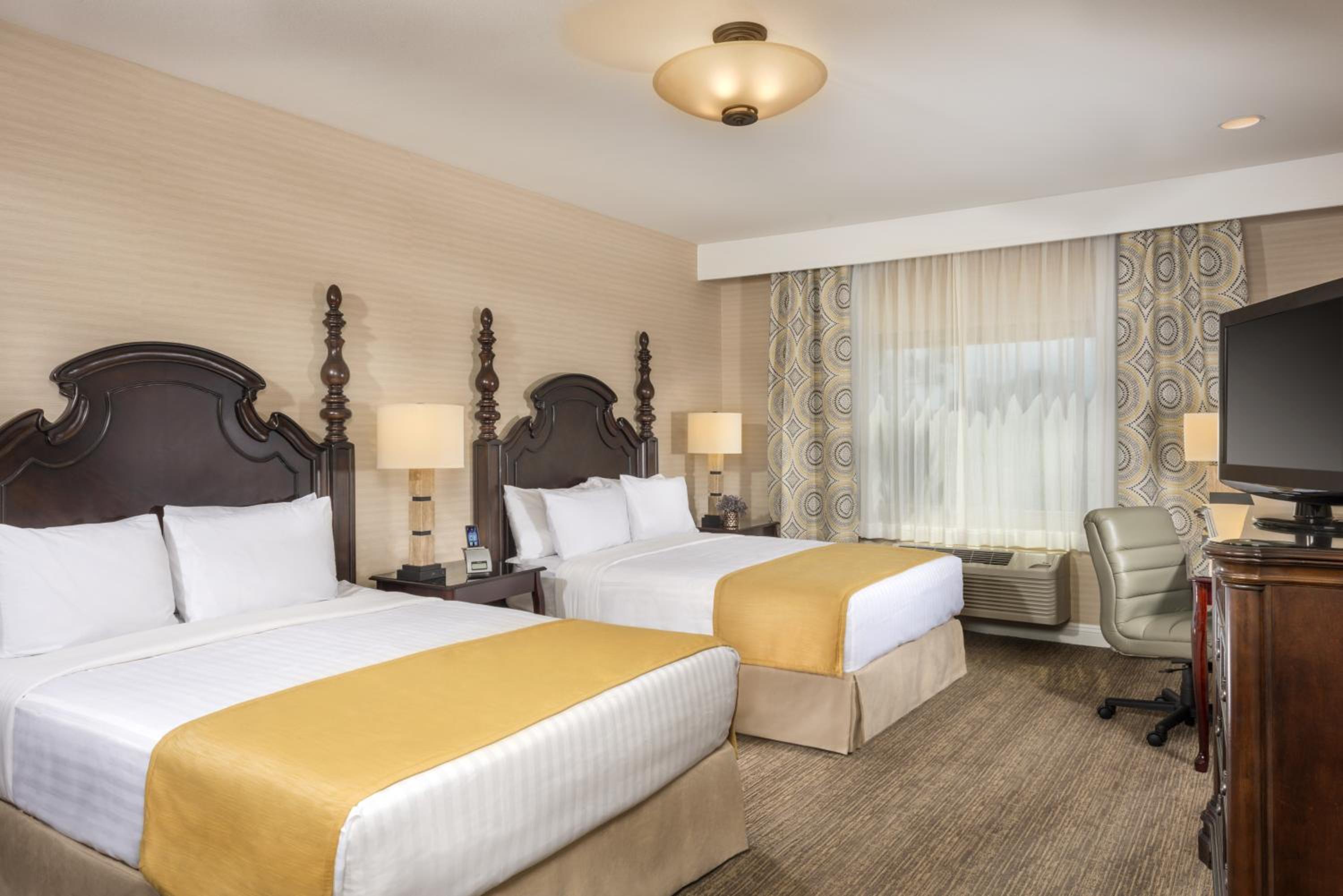 Executive Queen Suite photo 1
