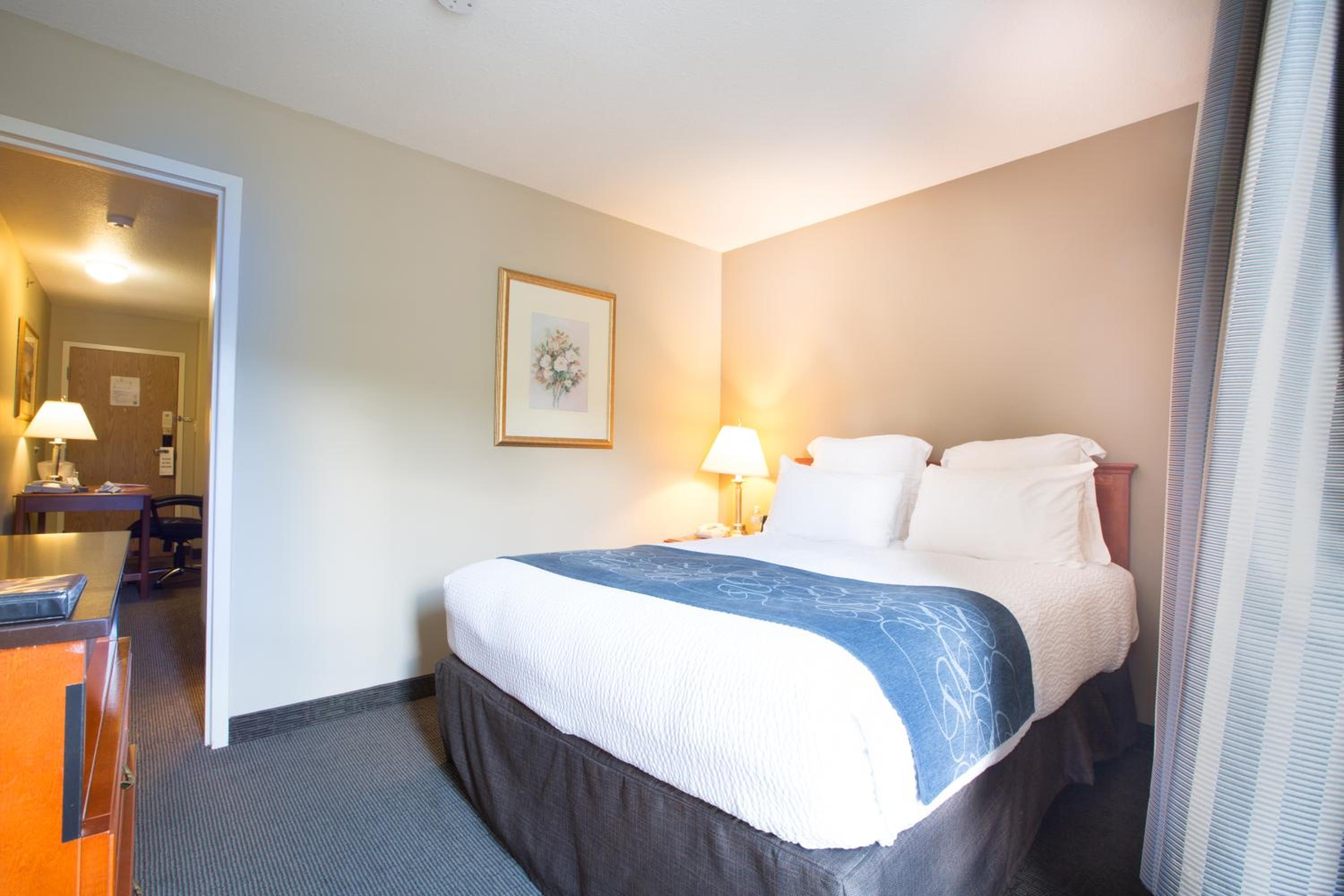 One Bedroom Suite  - Photo 8
