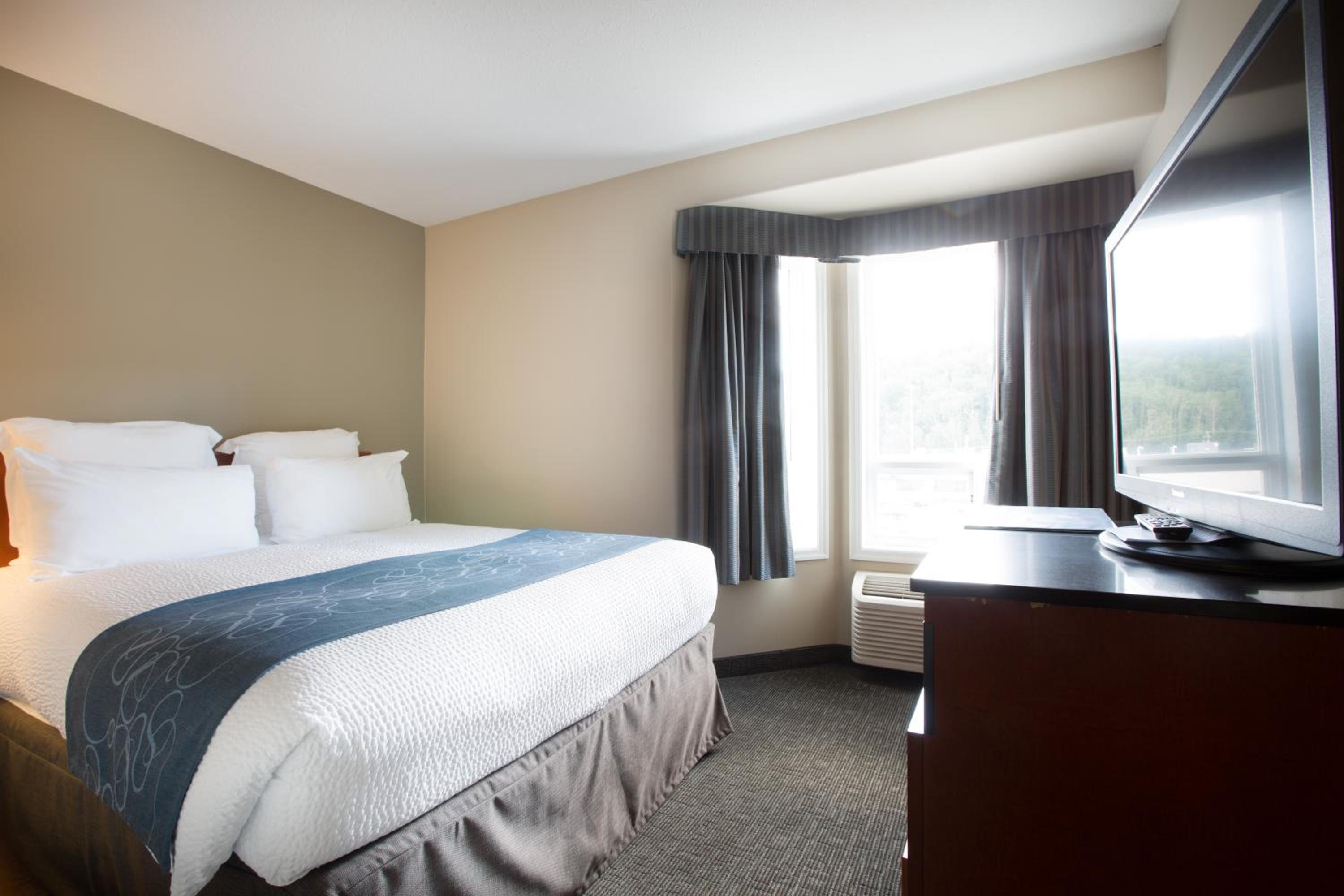 One Bedroom Suite  - Photo 4
