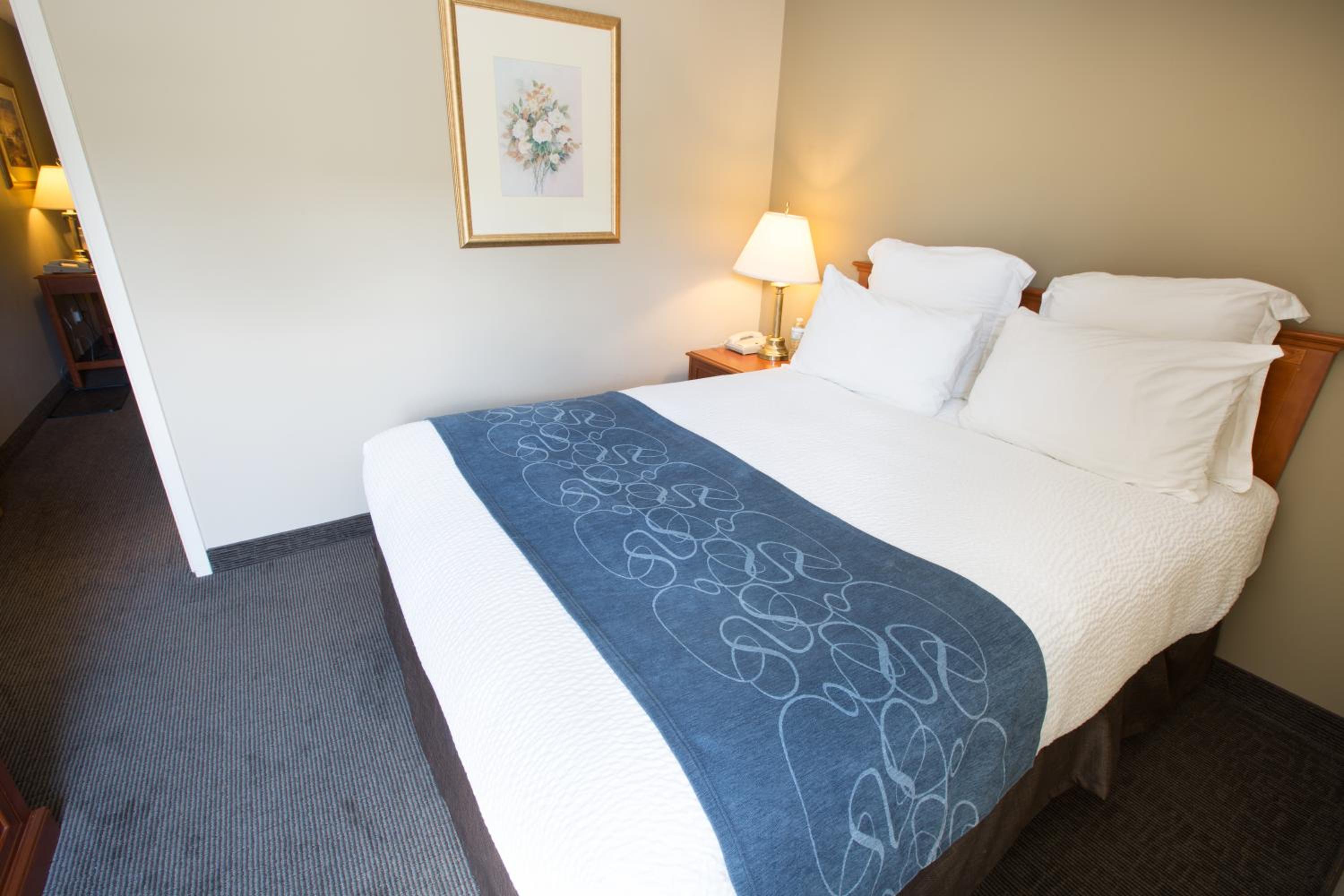 One Bedroom Suite  - Photo 6