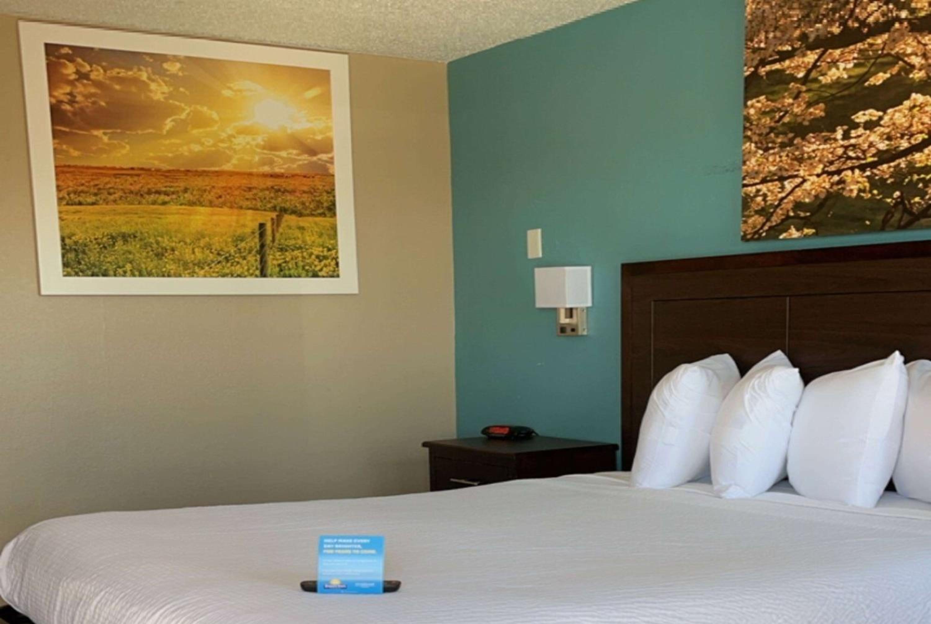 Queen Room - Disability Access/Smoking - Photo 1