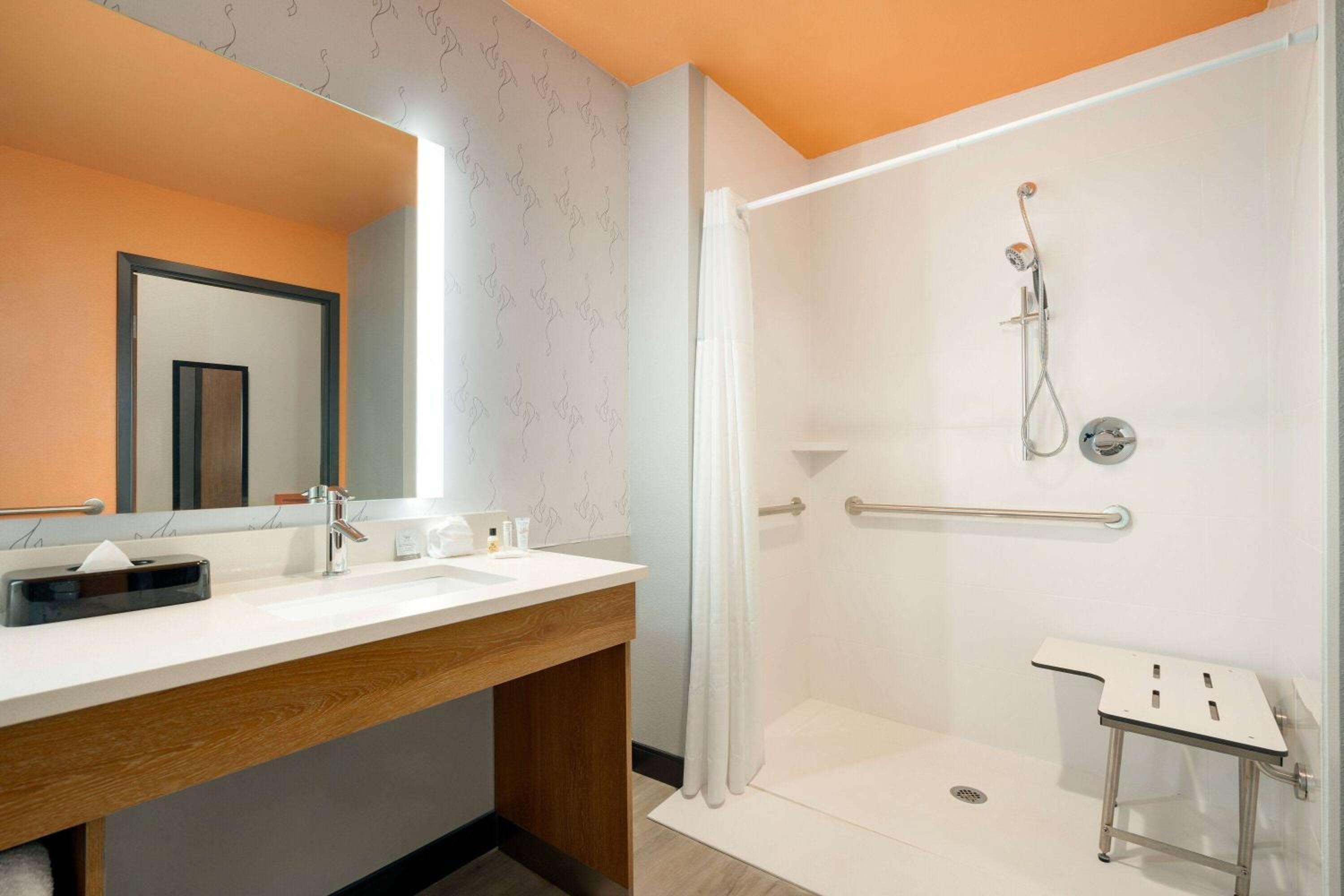 King Room with Roll-In Shower - Mobility/Hearing Accessible - Non-Smoking - Photo 3