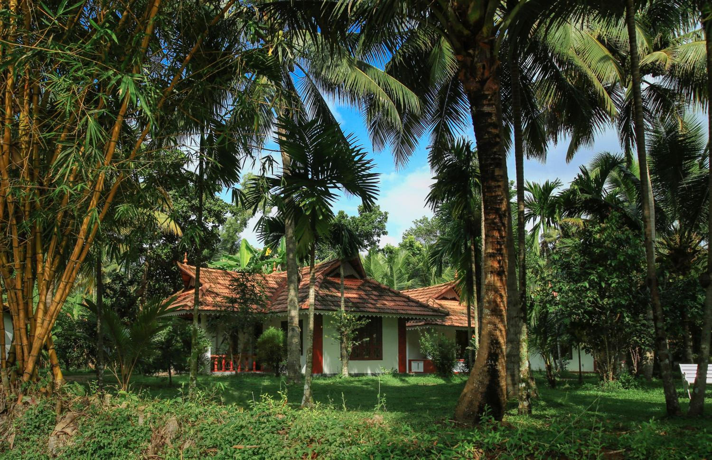 Superior Villa photo 3