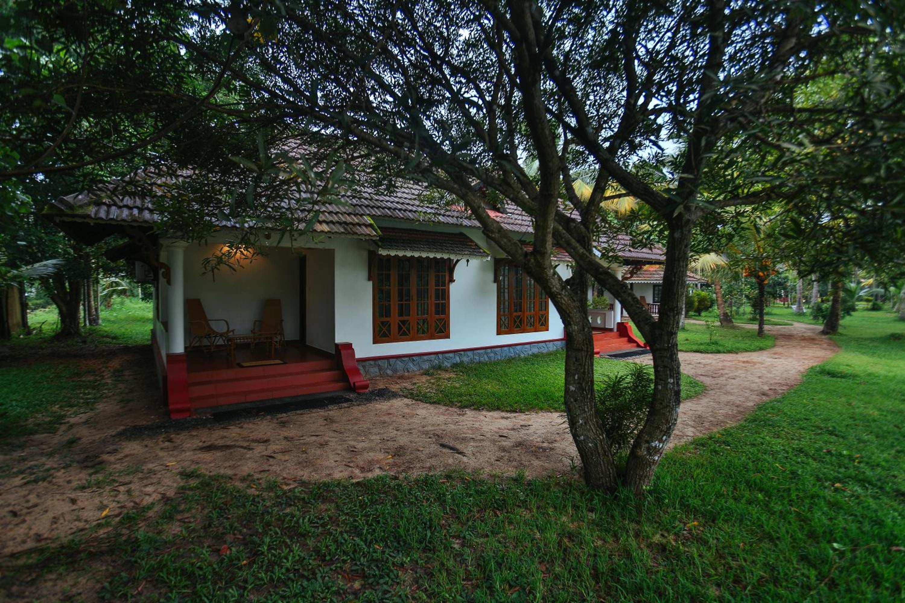 Suite - Photo 9
