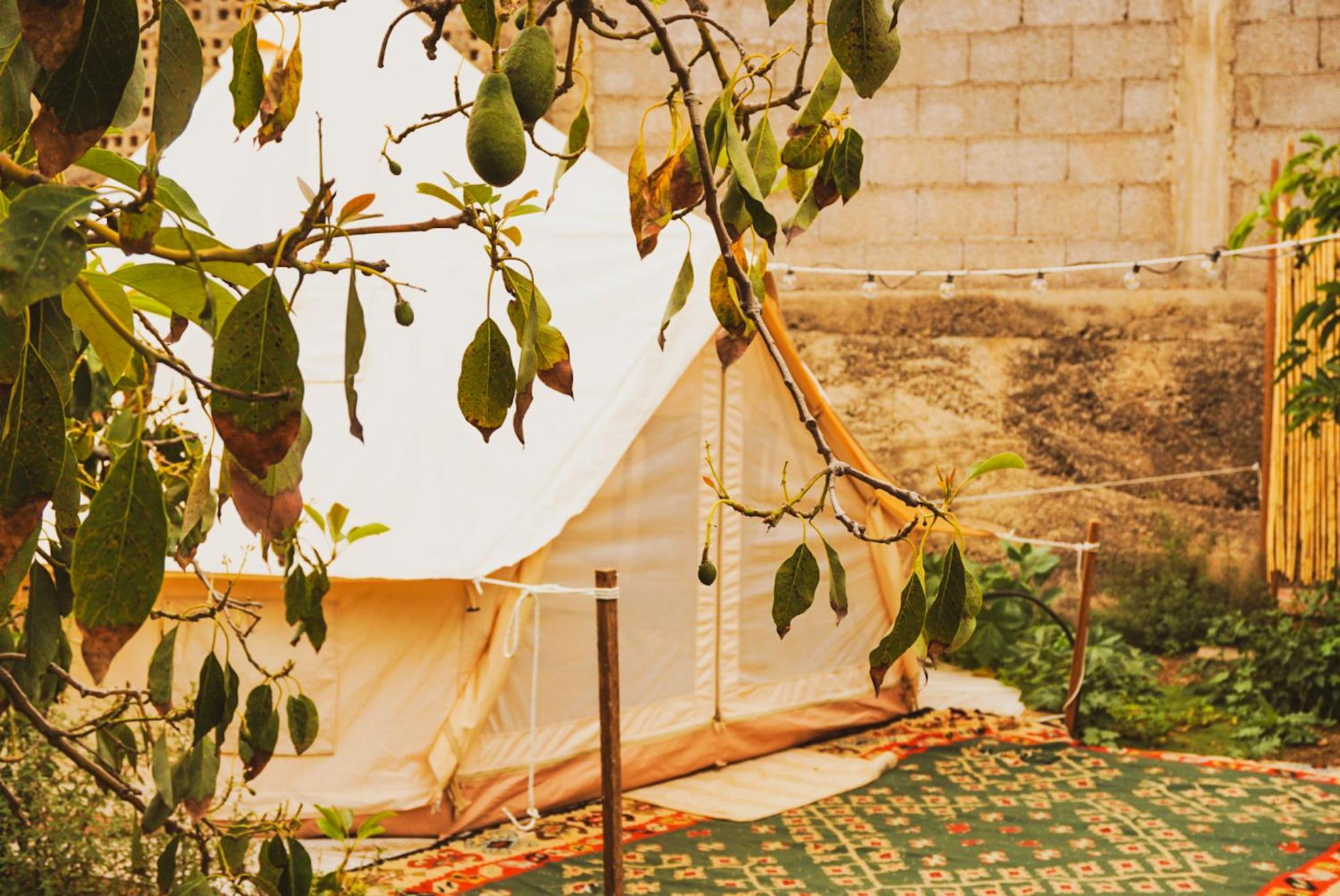 Tent photo 2