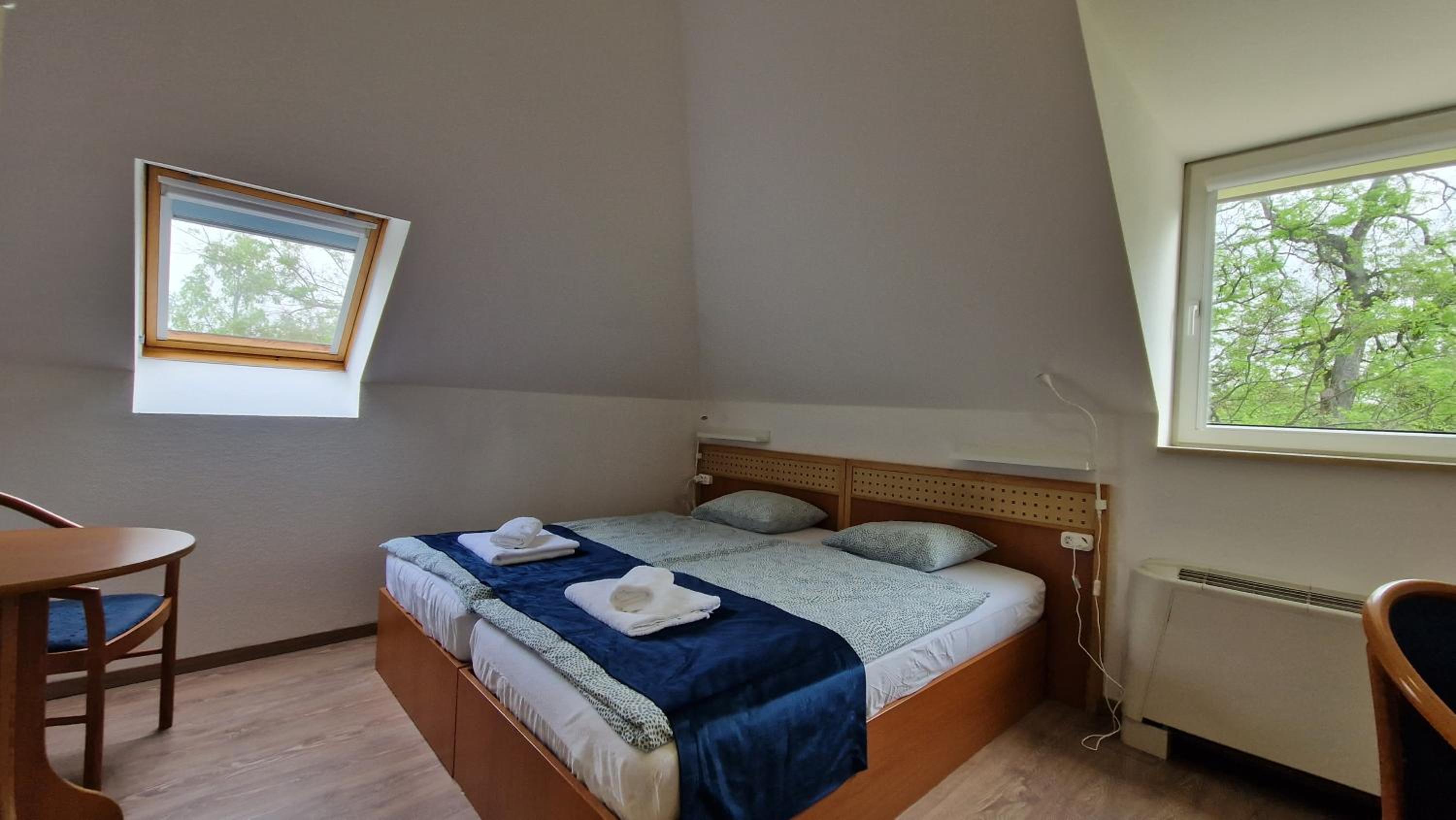 Standard Double or Twin Room
