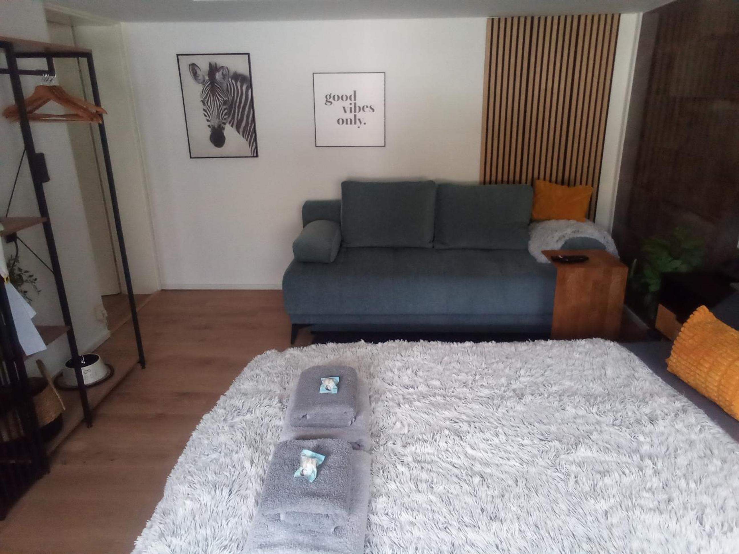 One-Bedroom Apartment photo 2