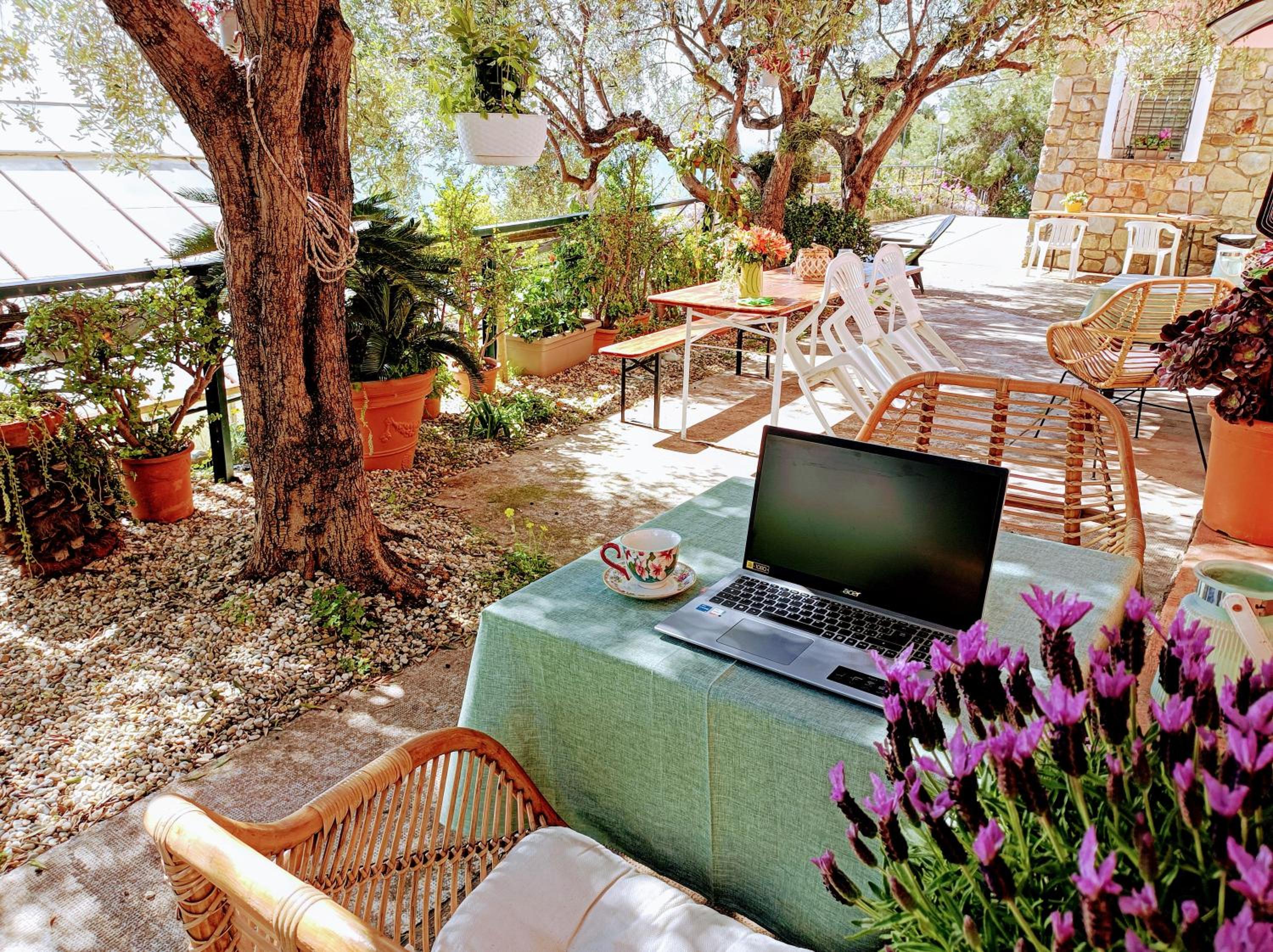 Studio with Sea View photo 3