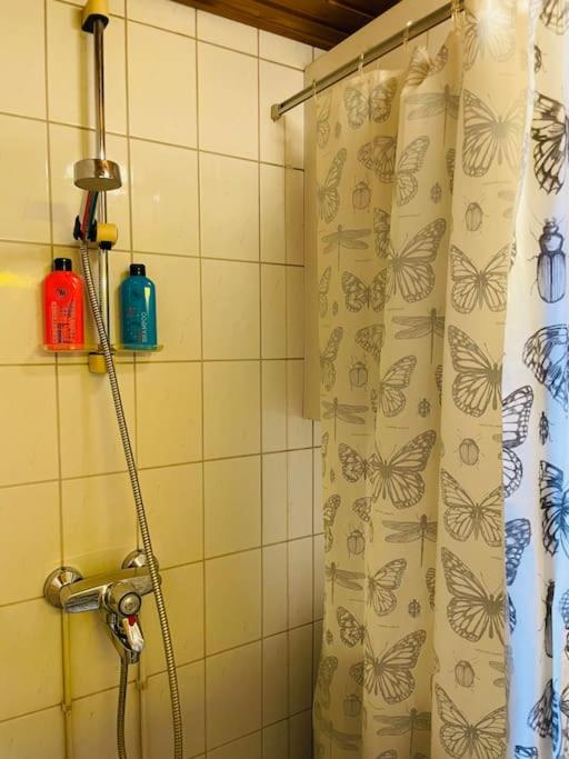 Apartment with Sauna photo 3