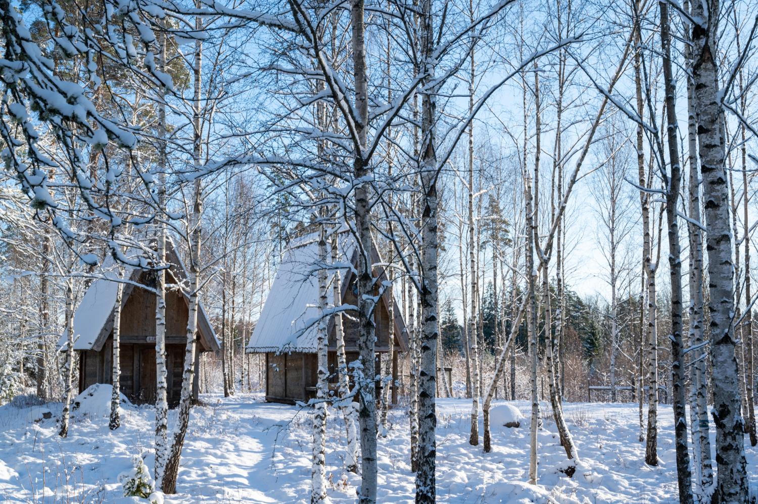 Chalet photo 2