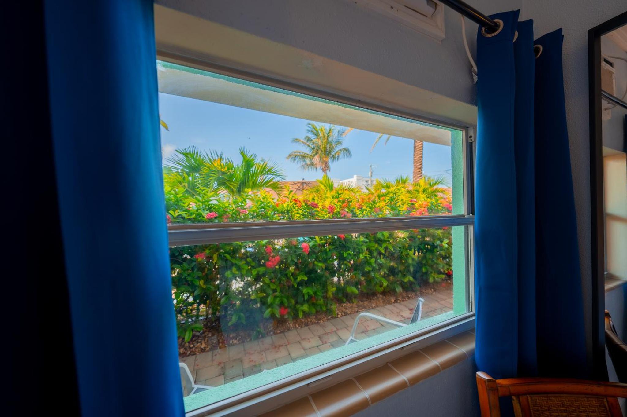Queen Room with Pool View photo 2