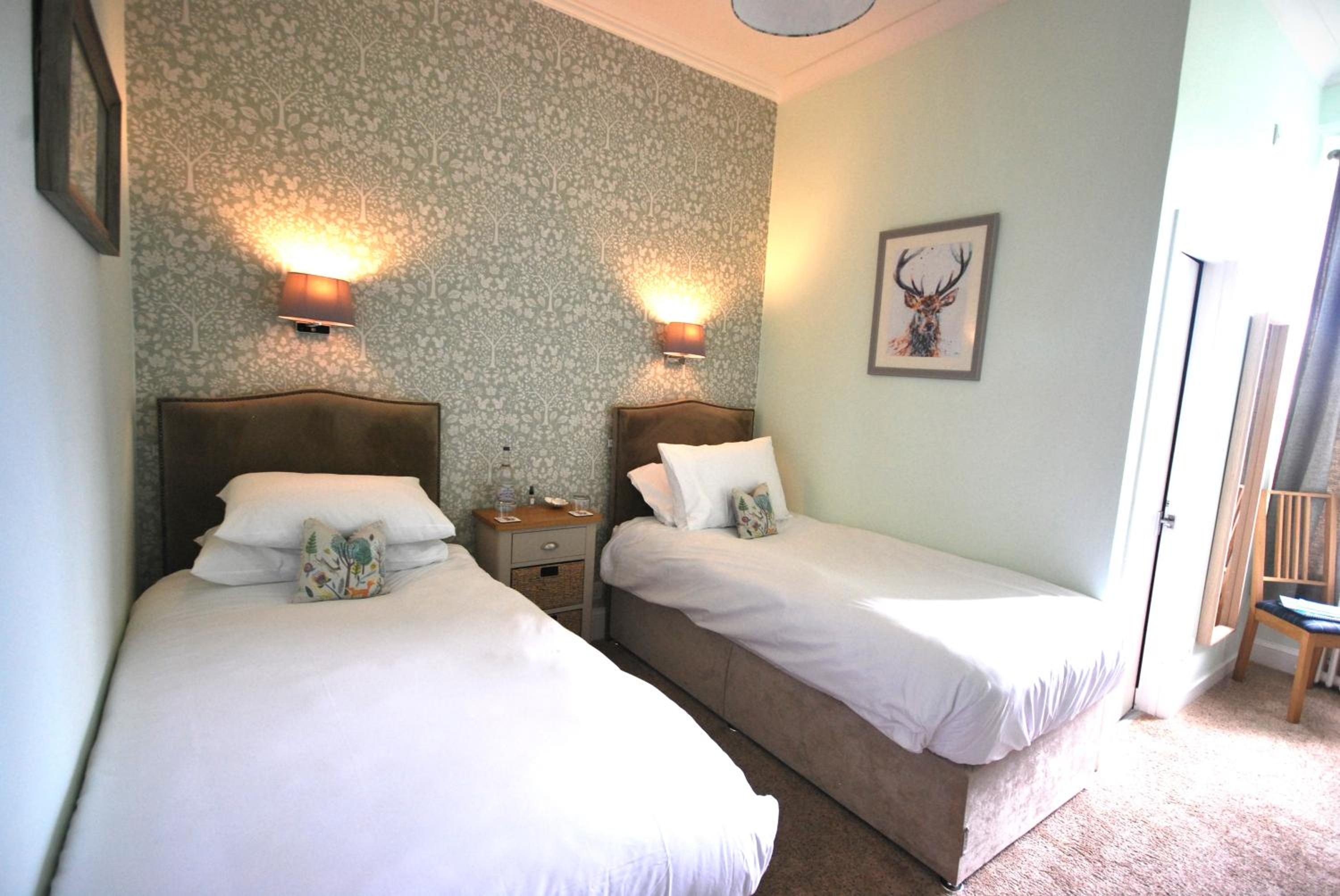 Twin Room photo 3