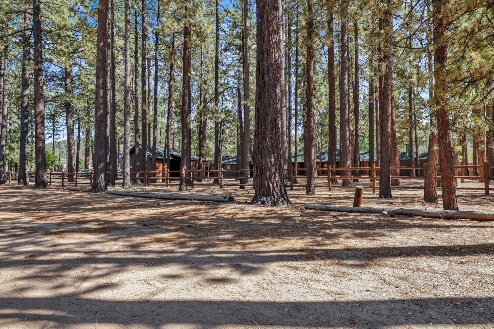 Vacation Home photo 3